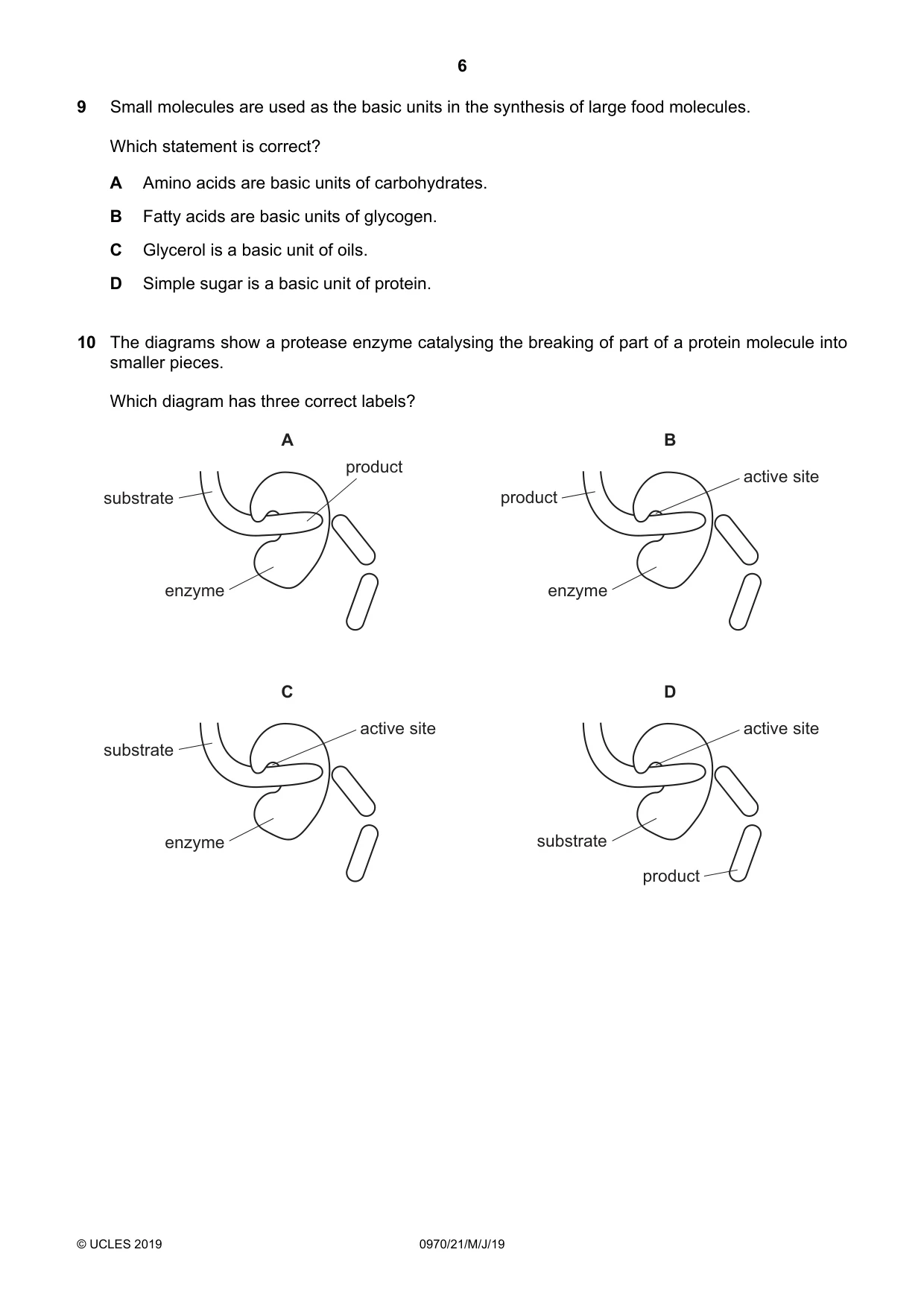 Cambridge IGCSE Biology (9-1) 0970 2019 May/June Paper 2 · Variant 1 question paper, page 6 of 20
