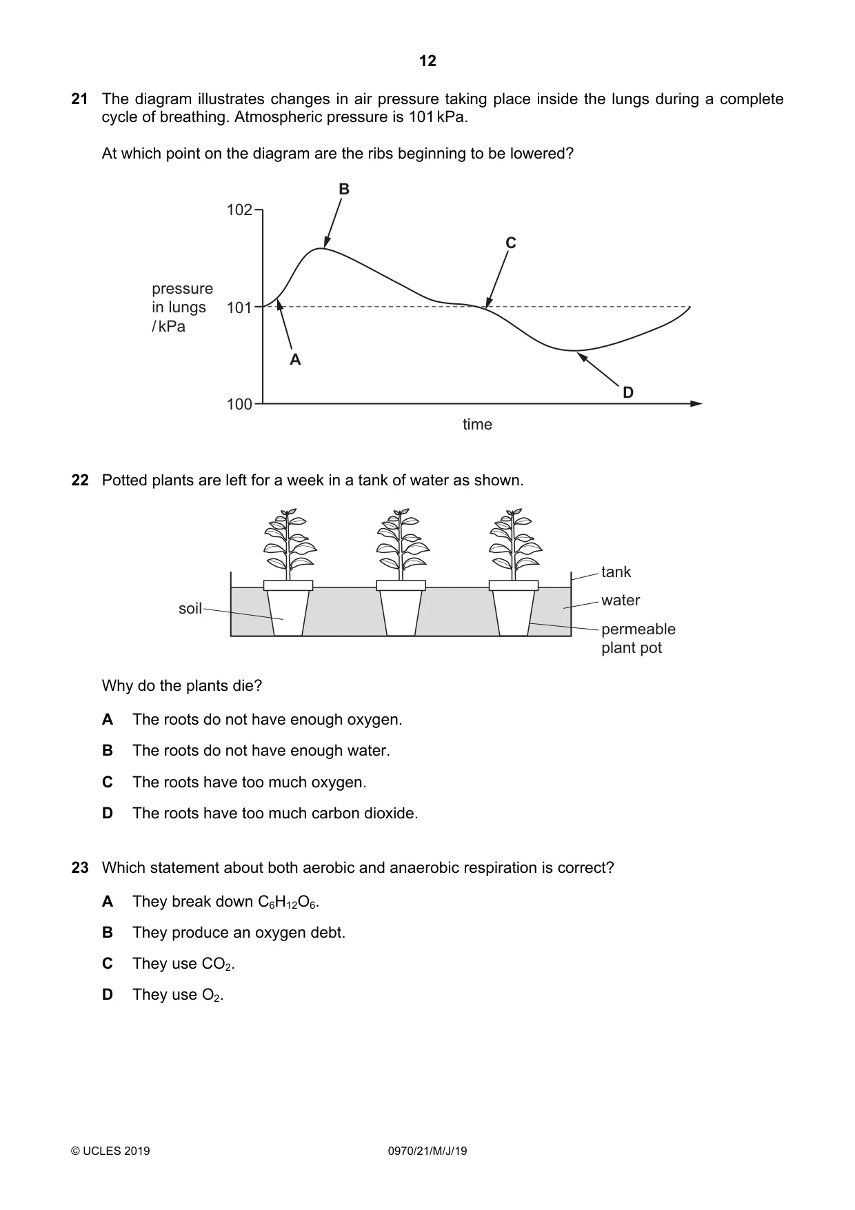 Cambridge IGCSE Biology (9-1) 0970 2019 May/June Paper 2 · Variant 1 question paper, page 12 of 20