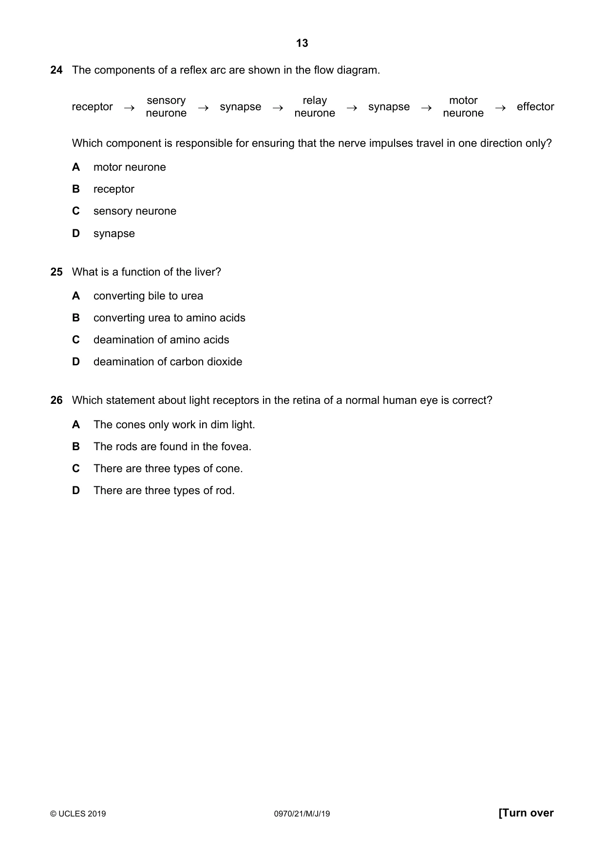 Cambridge IGCSE Biology (9-1) 0970 2019 May/June Paper 2 · Variant 1 question paper, page 13 of 20
