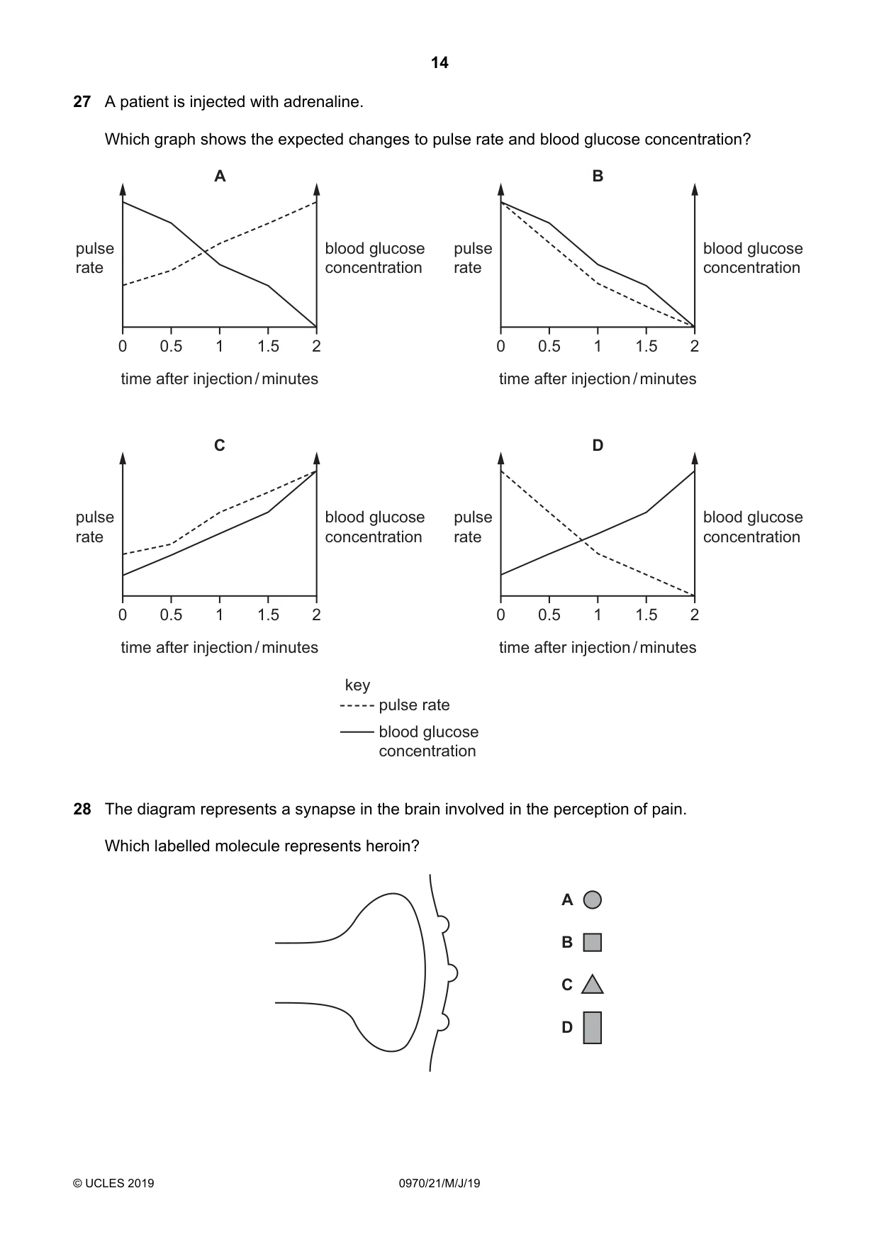 Cambridge IGCSE Biology (9-1) 0970 2019 May/June Paper 2 · Variant 1 question paper, page 14 of 20