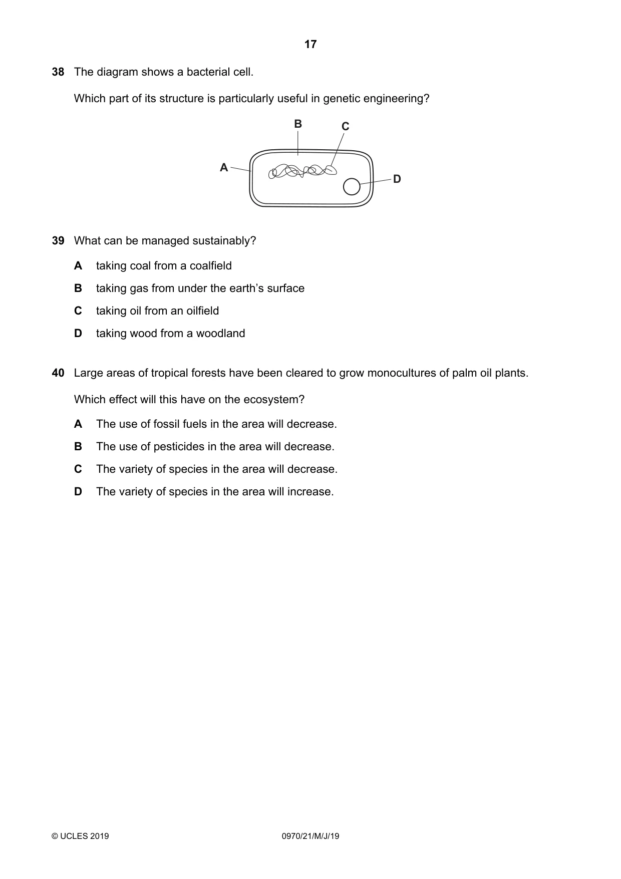 Cambridge IGCSE Biology (9-1) 0970 2019 May/June Paper 2 · Variant 1 question paper, page 17 of 20