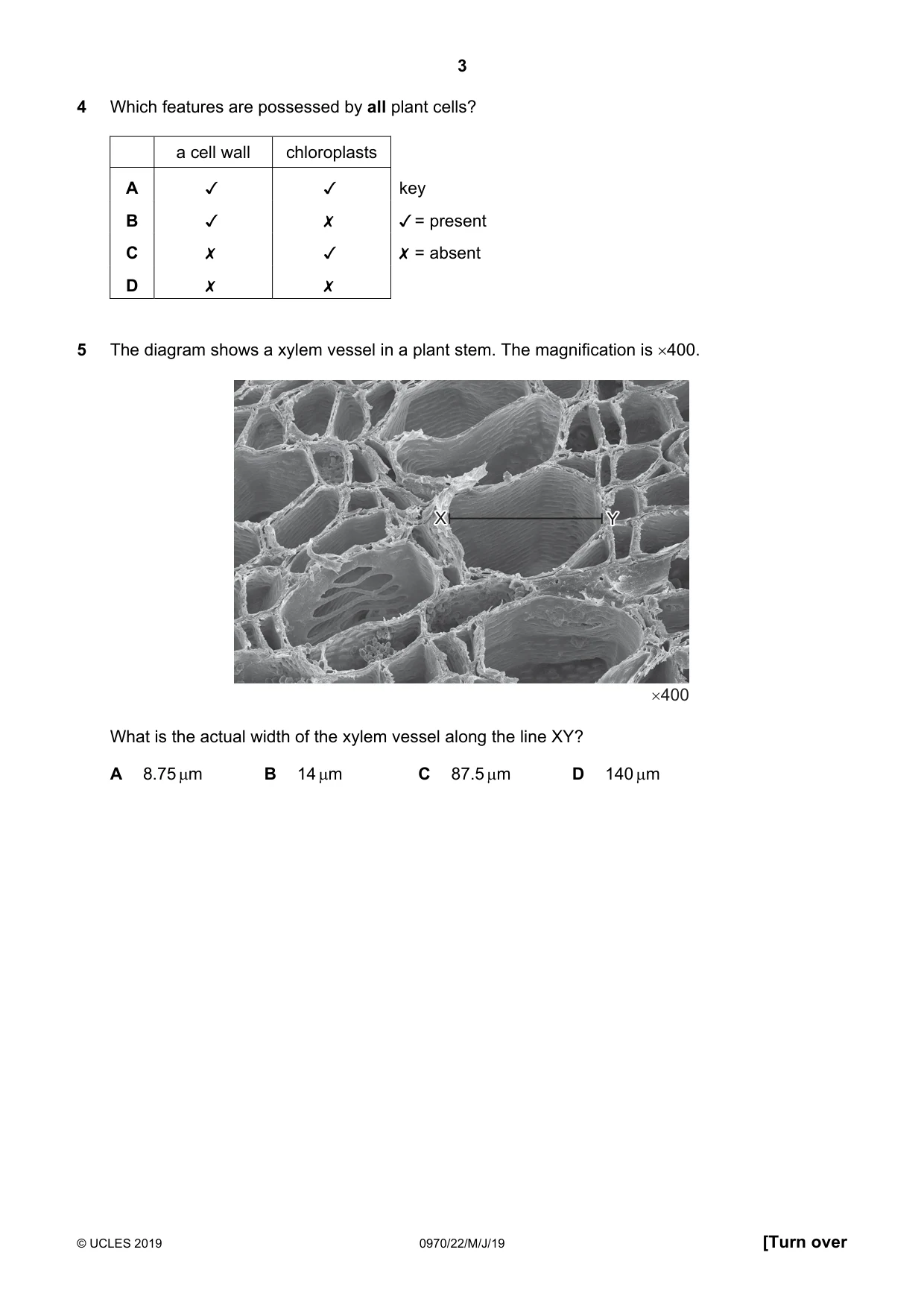 Cambridge IGCSE Biology (9-1) 0970 2019 May/June Paper 2 · Variant 2 question paper, page 3 of 16
