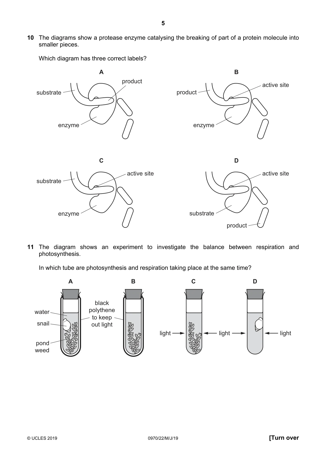 Cambridge IGCSE Biology (9-1) 0970 2019 May/June Paper 2 · Variant 2 question paper, page 5 of 16