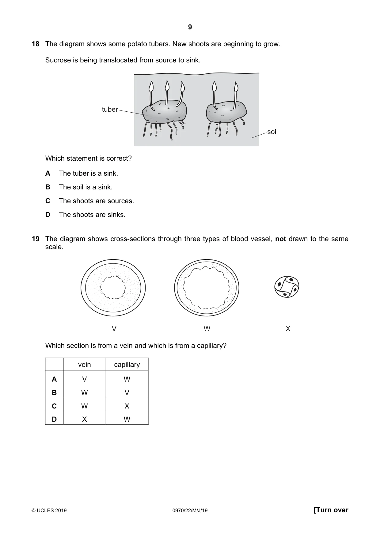 Cambridge IGCSE Biology (9-1) 0970 2019 May/June Paper 2 · Variant 2 question paper, page 9 of 16