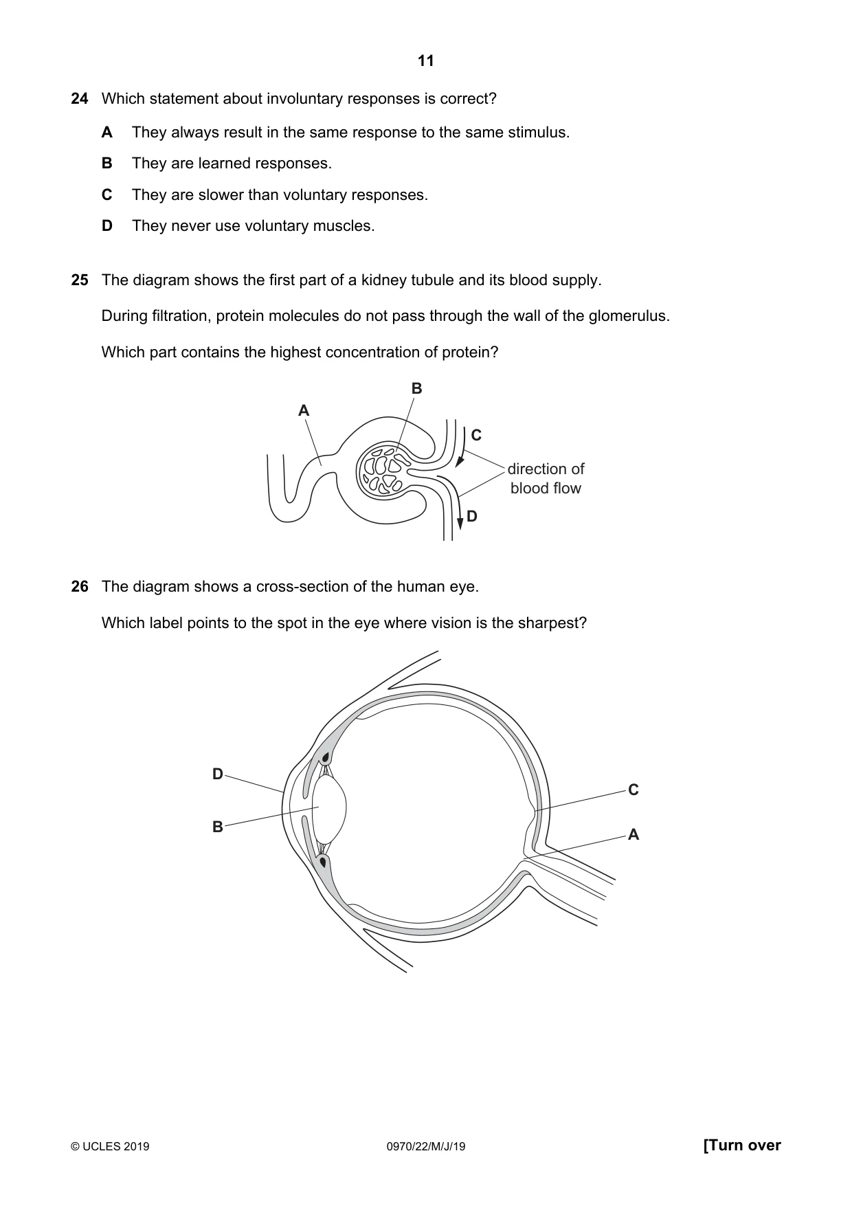 Cambridge IGCSE Biology (9-1) 0970 2019 May/June Paper 2 · Variant 2 question paper, page 11 of 16