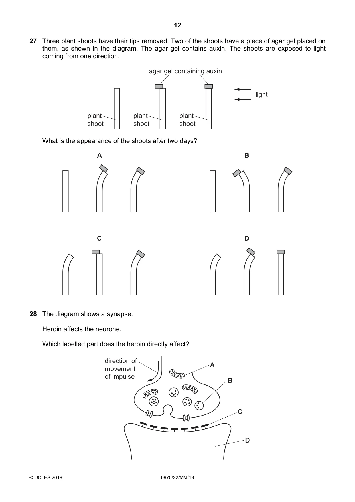 Cambridge IGCSE Biology (9-1) 0970 2019 May/June Paper 2 · Variant 2 question paper, page 12 of 16
