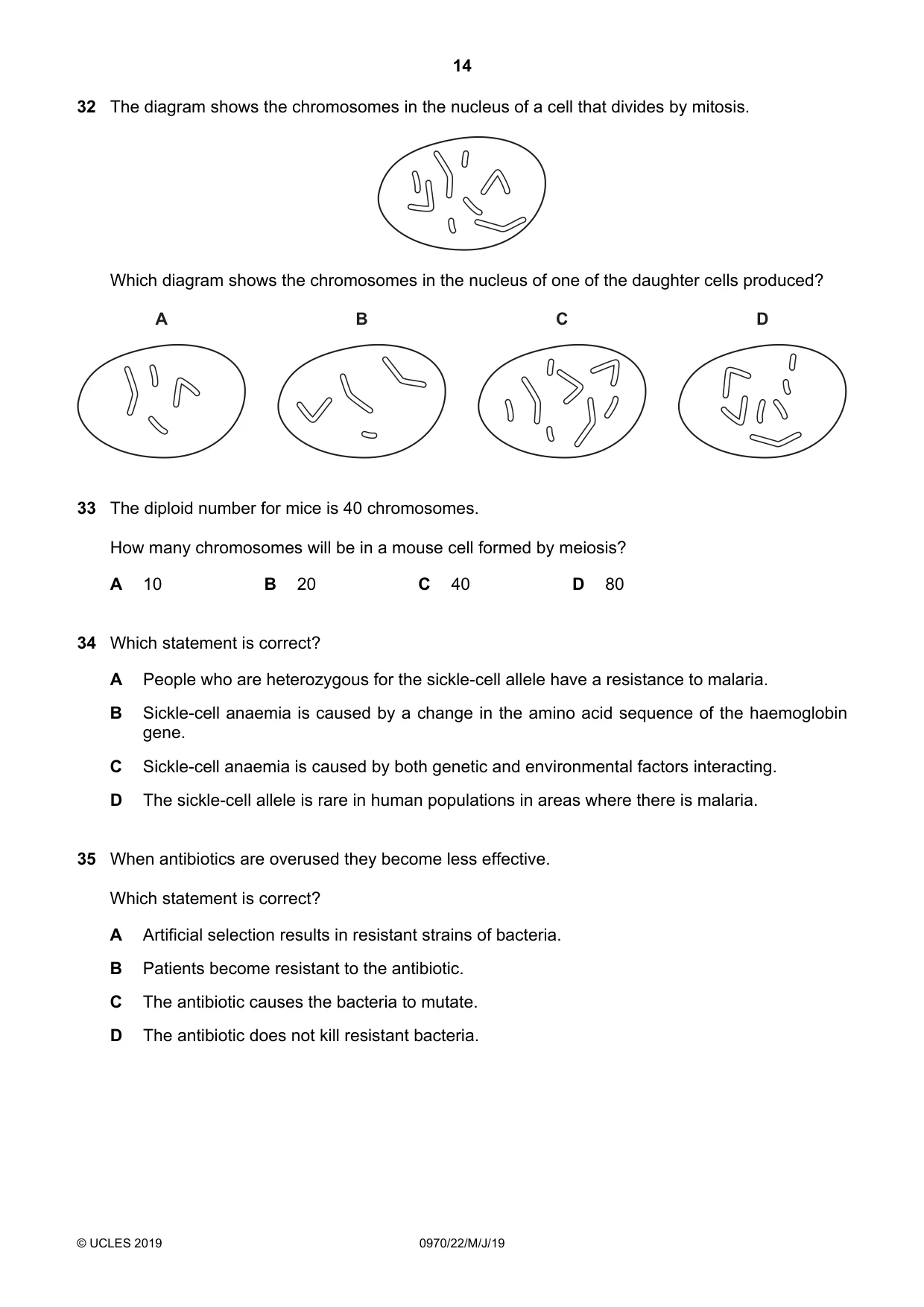 Cambridge IGCSE Biology (9-1) 0970 2019 May/June Paper 2 · Variant 2 question paper, page 14 of 16