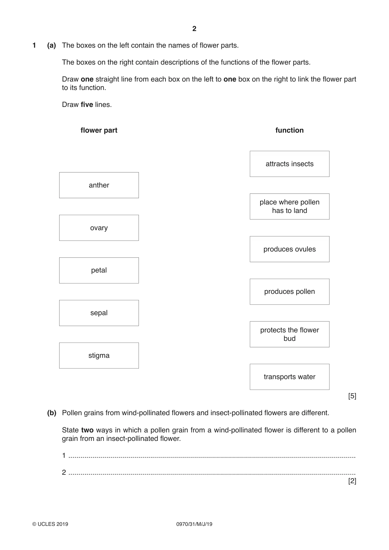 Cambridge IGCSE Biology (9-1) 0970 2019 May/June Paper 3 · Variant 1 question paper, page 2 of 20