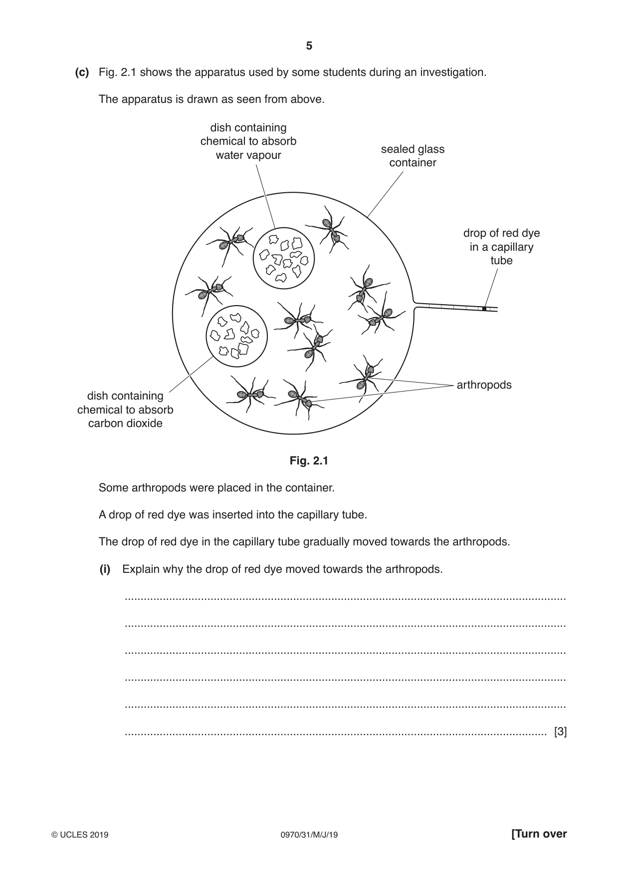 Cambridge IGCSE Biology (9-1) 0970 2019 May/June Paper 3 · Variant 1 question paper, page 5 of 20