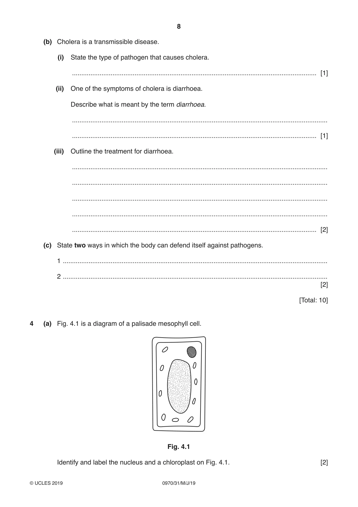 Cambridge IGCSE Biology (9-1) 0970 2019 May/June Paper 3 · Variant 1 question paper, page 8 of 20