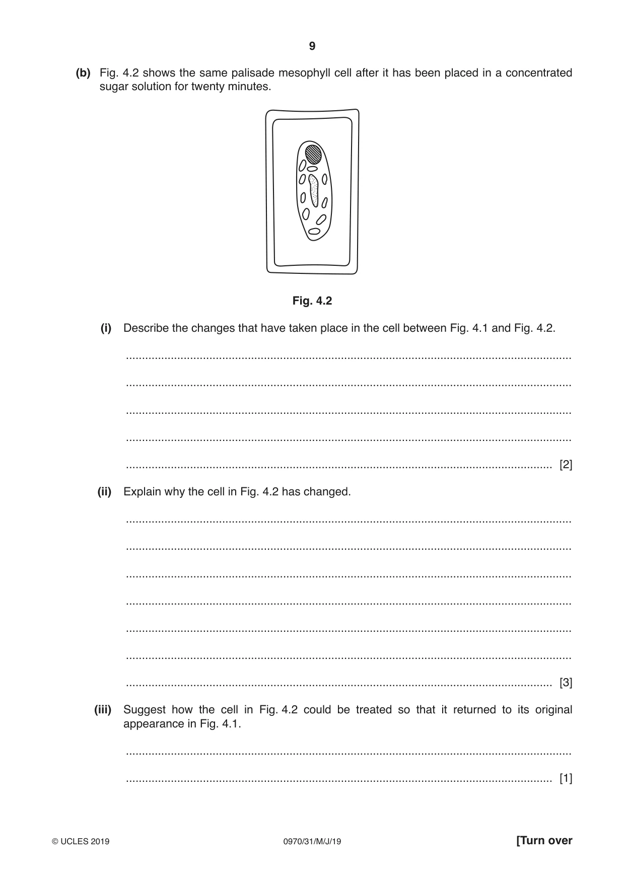 Cambridge IGCSE Biology (9-1) 0970 2019 May/June Paper 3 · Variant 1 question paper, page 9 of 20