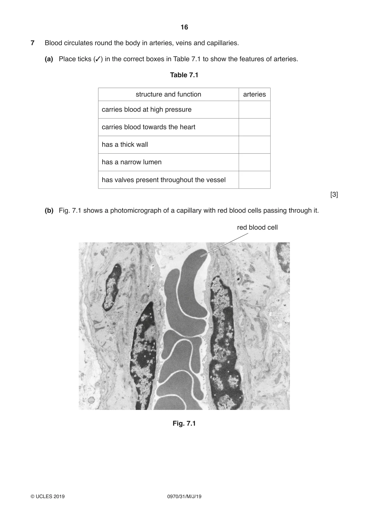 Cambridge IGCSE Biology (9-1) 0970 2019 May/June Paper 3 · Variant 1 question paper, page 16 of 20