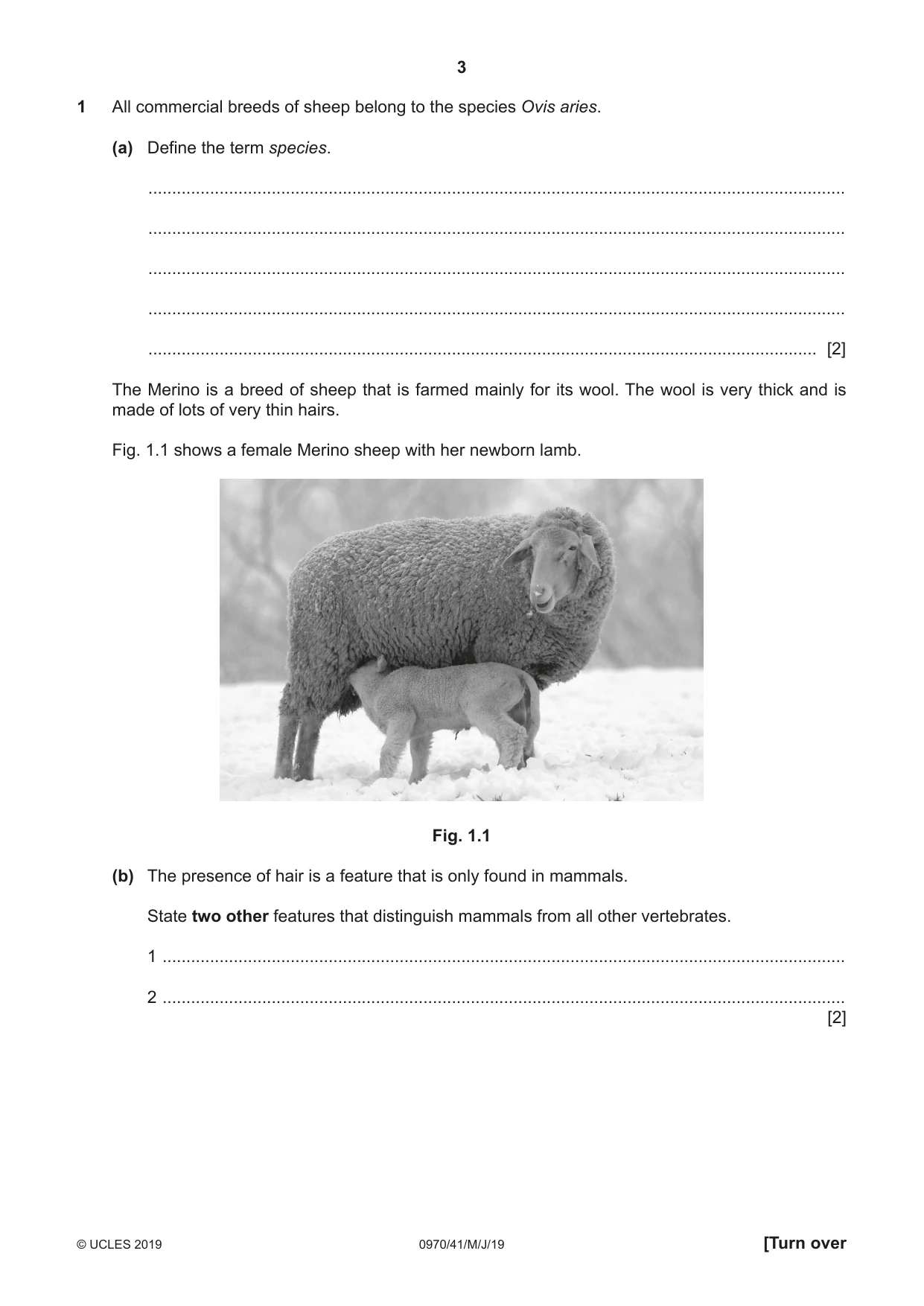 Cambridge IGCSE Biology (9-1) 0970 2019 May/June Paper 4 · Variant 1 question paper, page 3 of 20