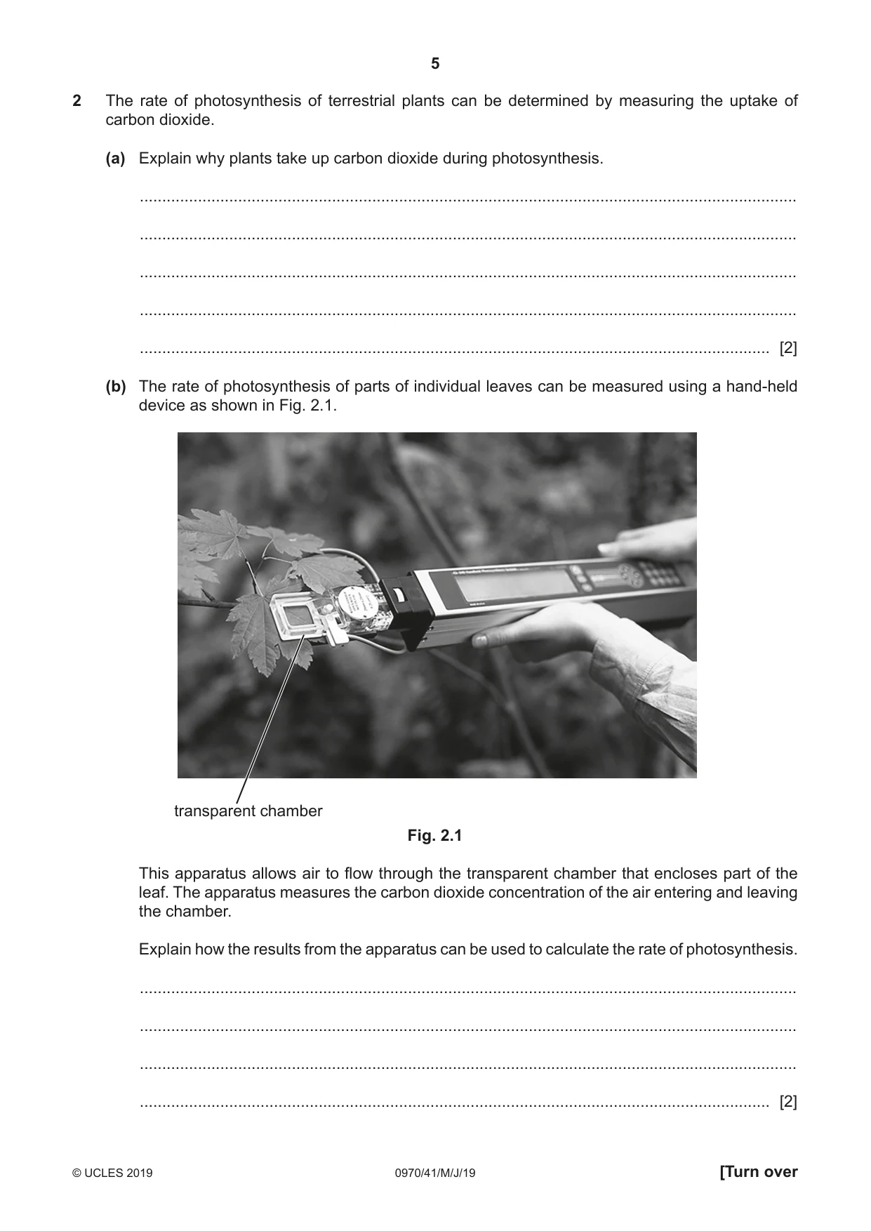 Cambridge IGCSE Biology (9-1) 0970 2019 May/June Paper 4 · Variant 1 question paper, page 5 of 20