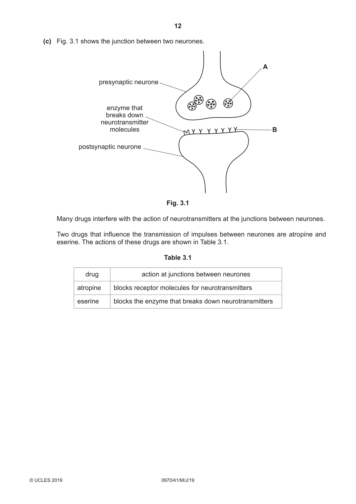 Cambridge IGCSE Biology (9-1) 0970 2019 May/June Paper 4 · Variant 1 question paper, page 12 of 20