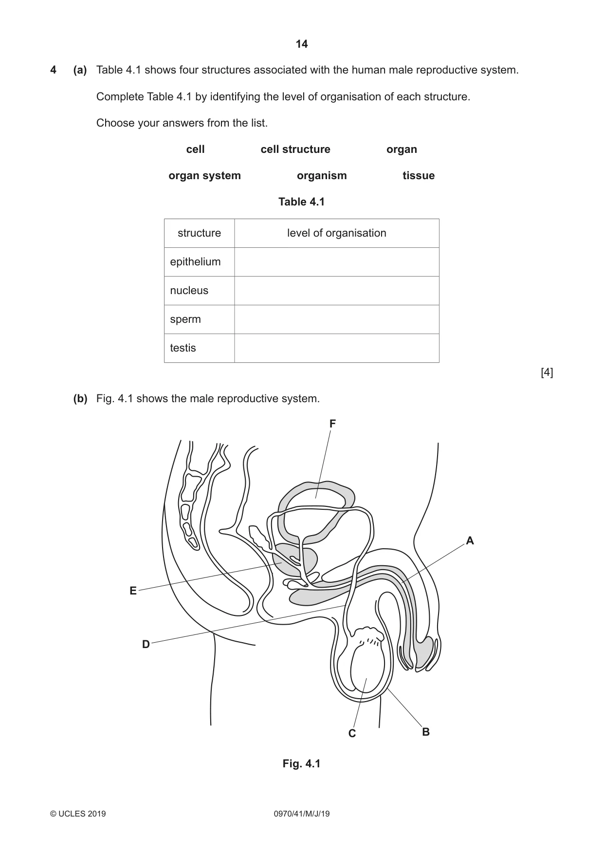 Cambridge IGCSE Biology (9-1) 0970 2019 May/June Paper 4 · Variant 1 question paper, page 14 of 20