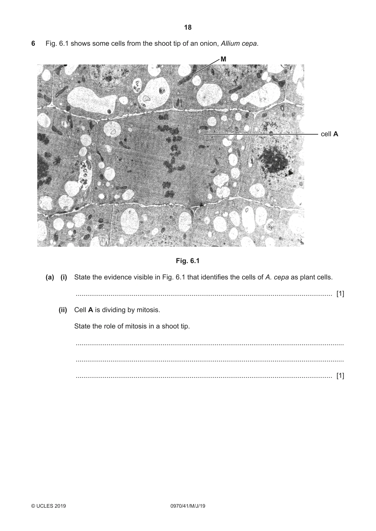 Cambridge IGCSE Biology (9-1) 0970 2019 May/June Paper 4 · Variant 1 question paper, page 18 of 20