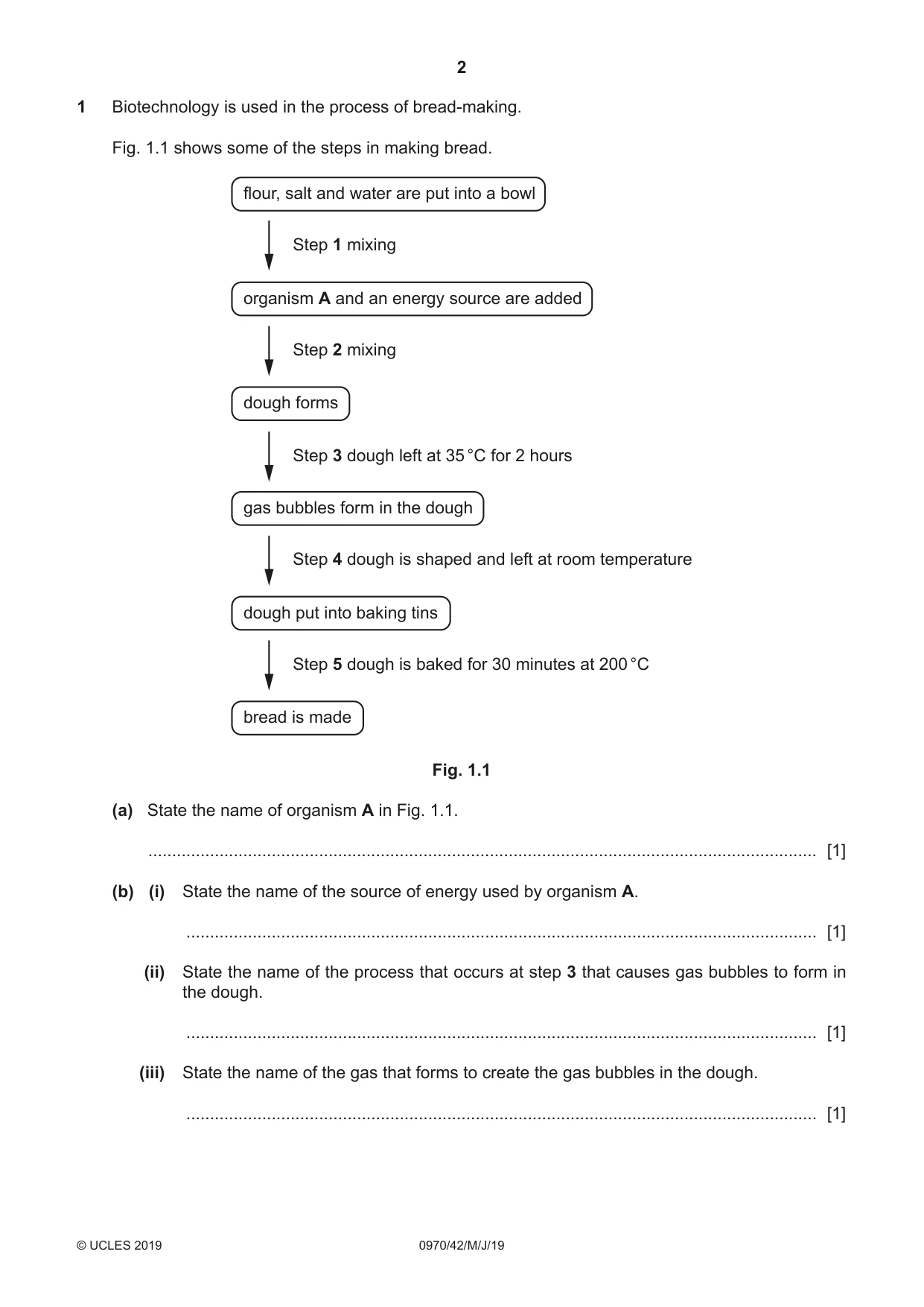 Cambridge IGCSE Biology (9-1) 0970 2019 May/June Paper 4 · Variant 2 question paper, page 2 of 20