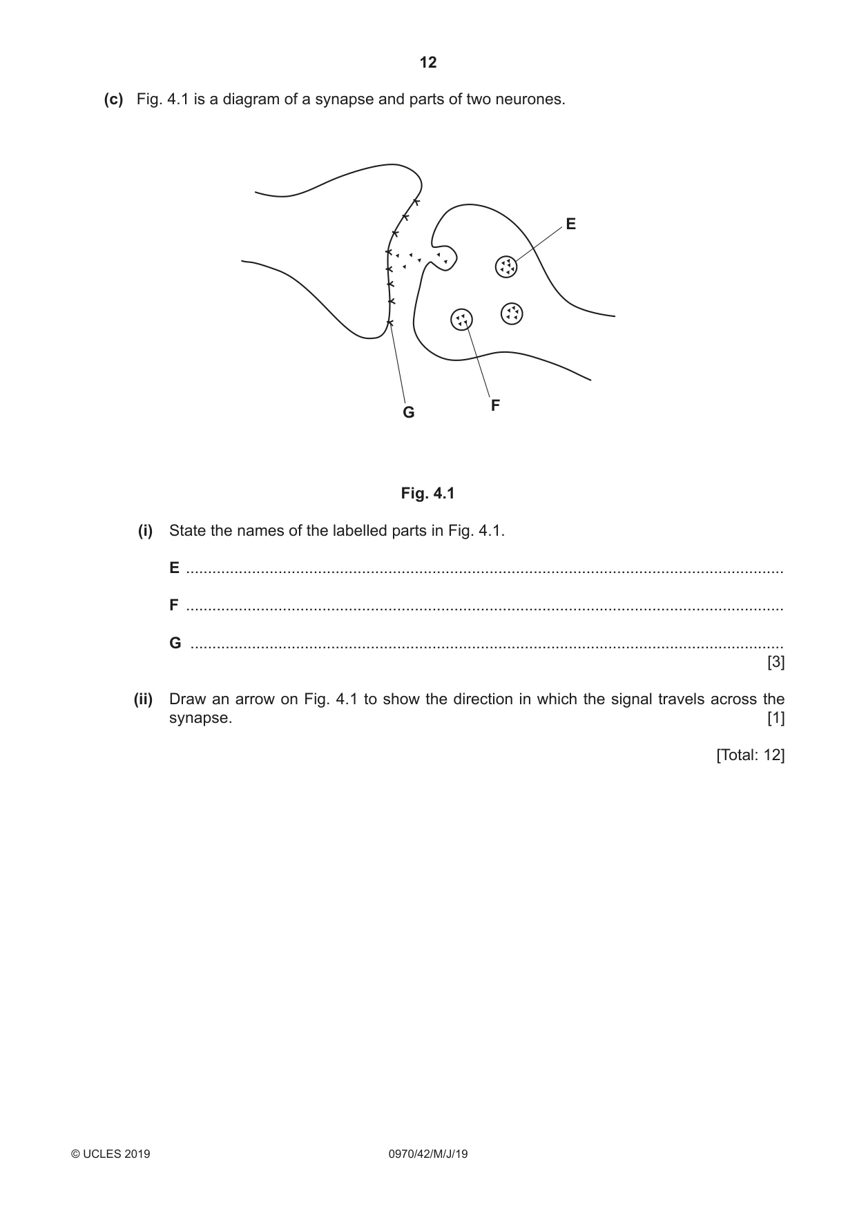Cambridge IGCSE Biology (9-1) 0970 2019 May/June Paper 4 · Variant 2 question paper, page 12 of 20