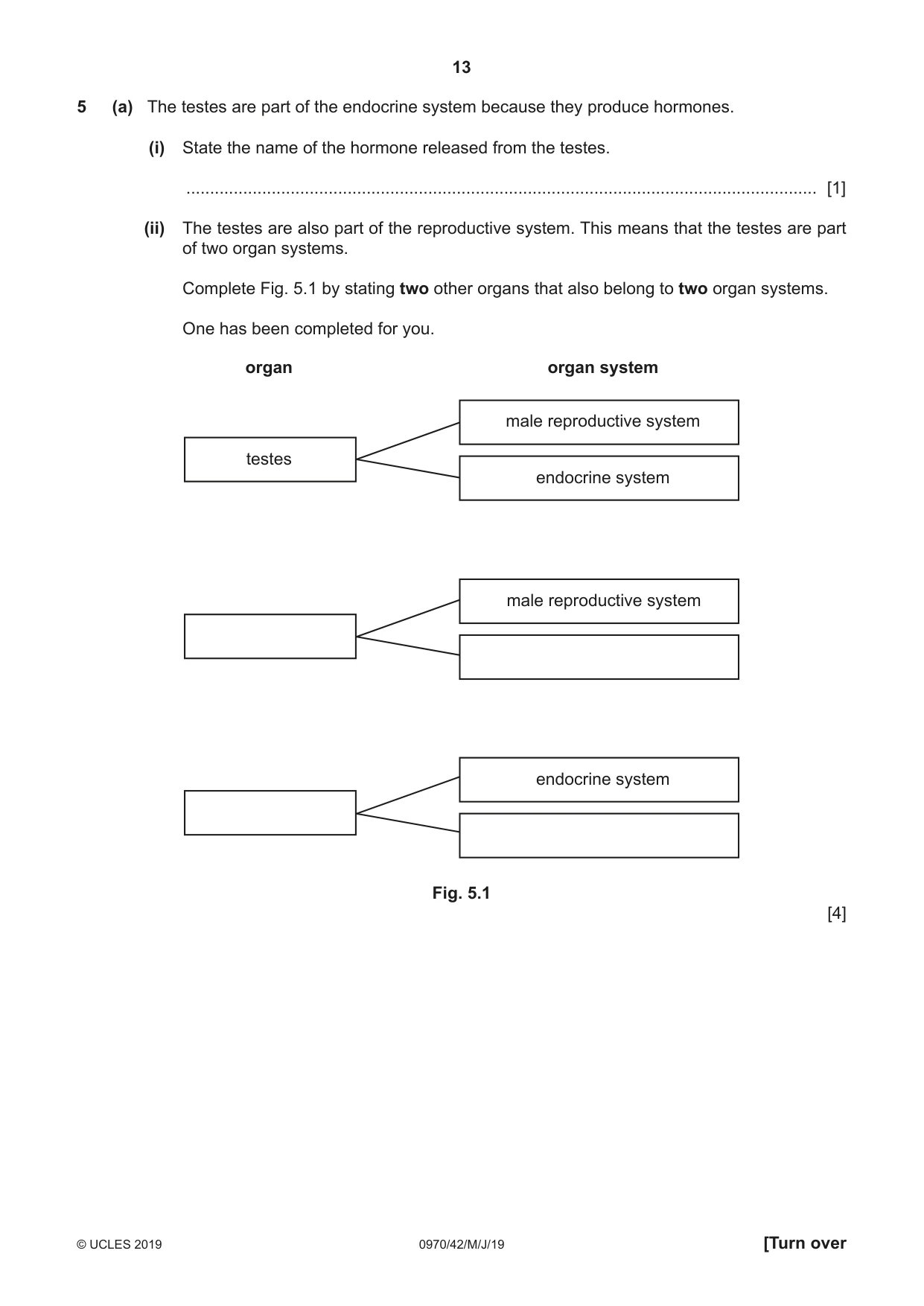 Cambridge IGCSE Biology (9-1) 0970 2019 May/June Paper 4 · Variant 2 question paper, page 13 of 20