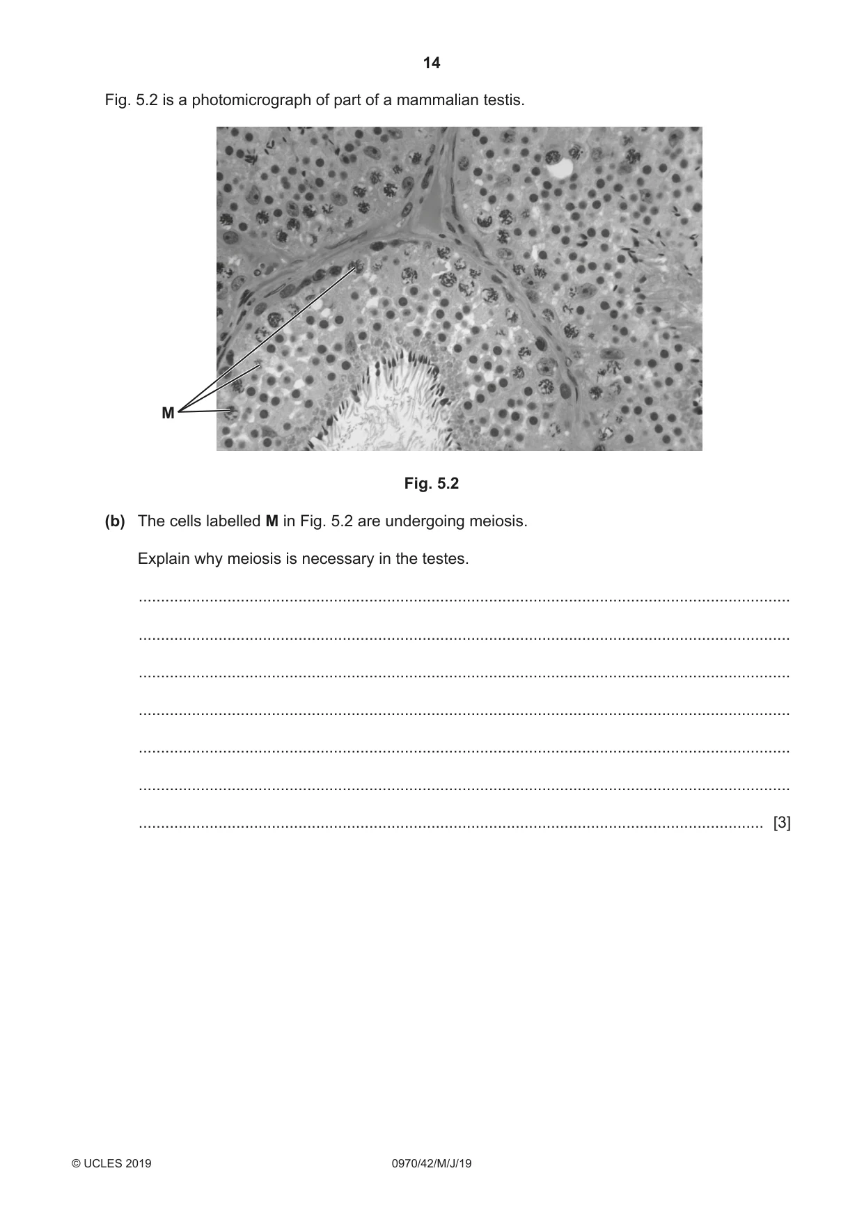 Cambridge IGCSE Biology (9-1) 0970 2019 May/June Paper 4 · Variant 2 question paper, page 14 of 20