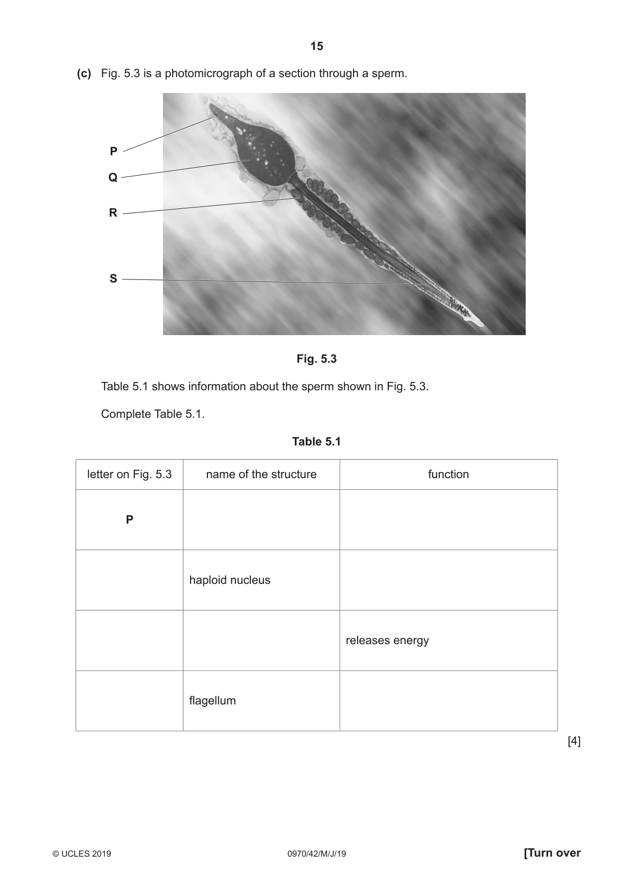 Cambridge IGCSE Biology (9-1) 0970 2019 May/June Paper 4 · Variant 2 question paper, page 15 of 20