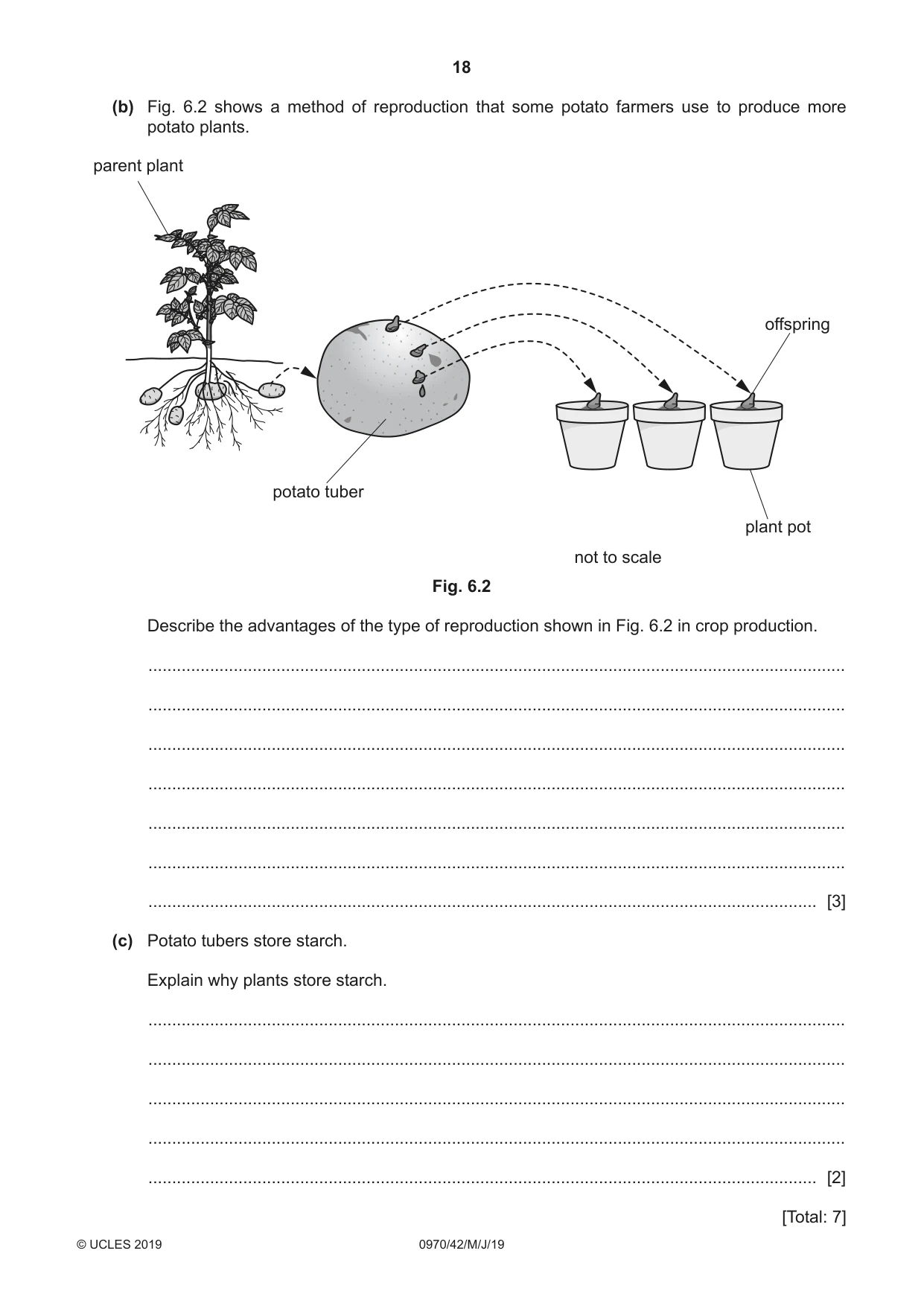Cambridge IGCSE Biology (9-1) 0970 2019 May/June Paper 4 · Variant 2 question paper, page 18 of 20