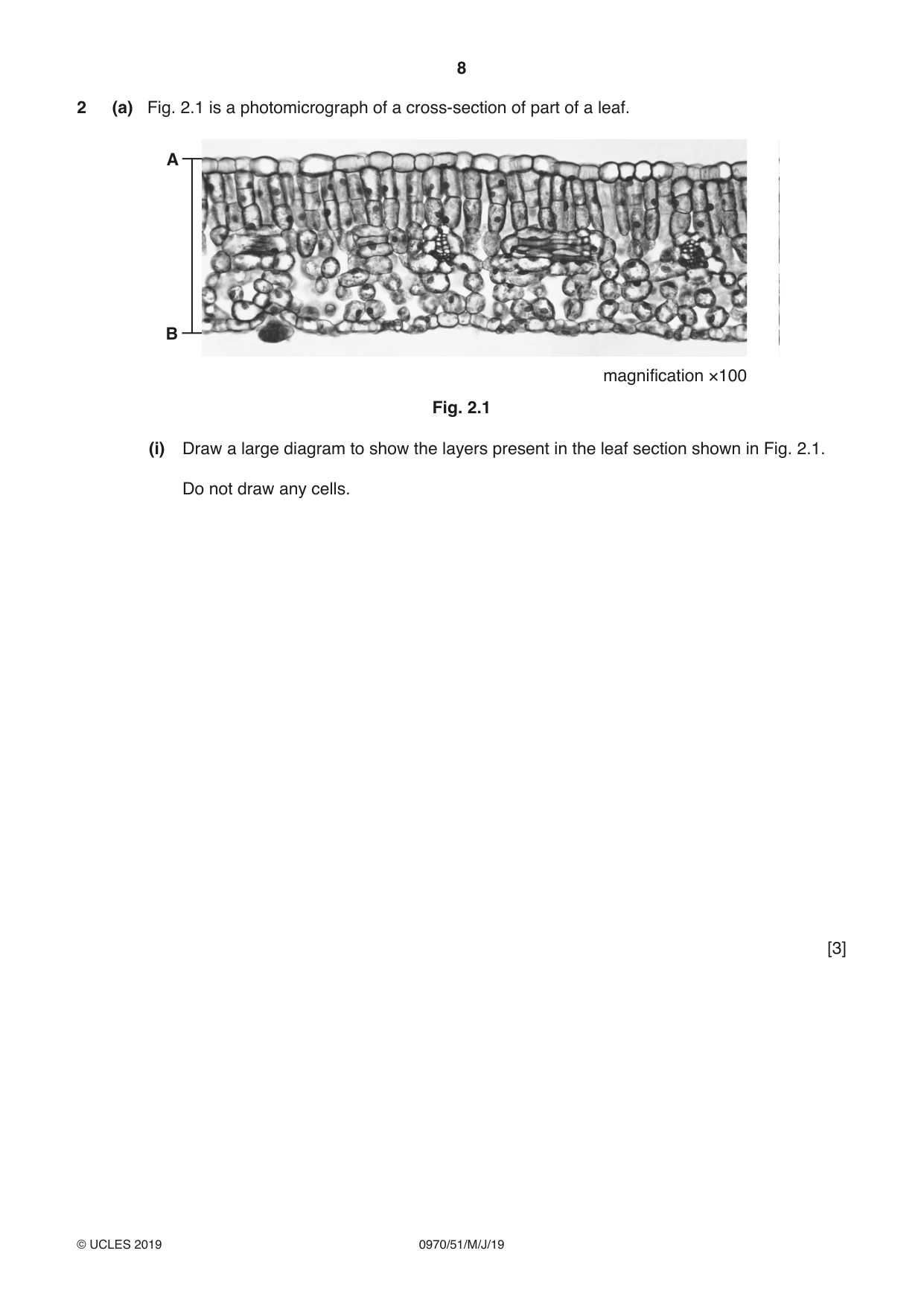 Cambridge IGCSE Biology (9-1) 0970 2019 May/June Paper 5 · Variant 1 question paper, page 8 of 16