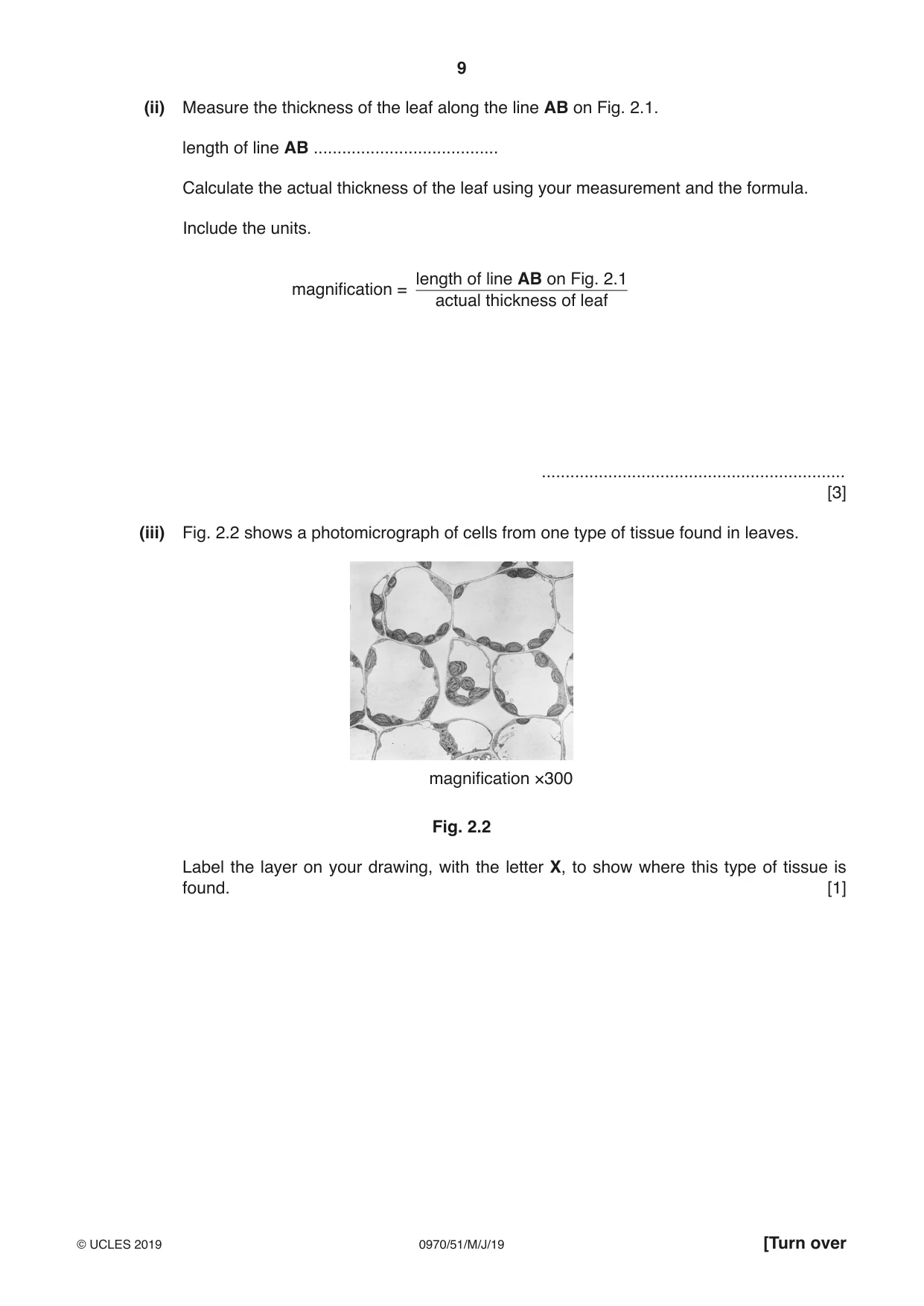 Cambridge IGCSE Biology (9-1) 0970 2019 May/June Paper 5 · Variant 1 question paper, page 9 of 16