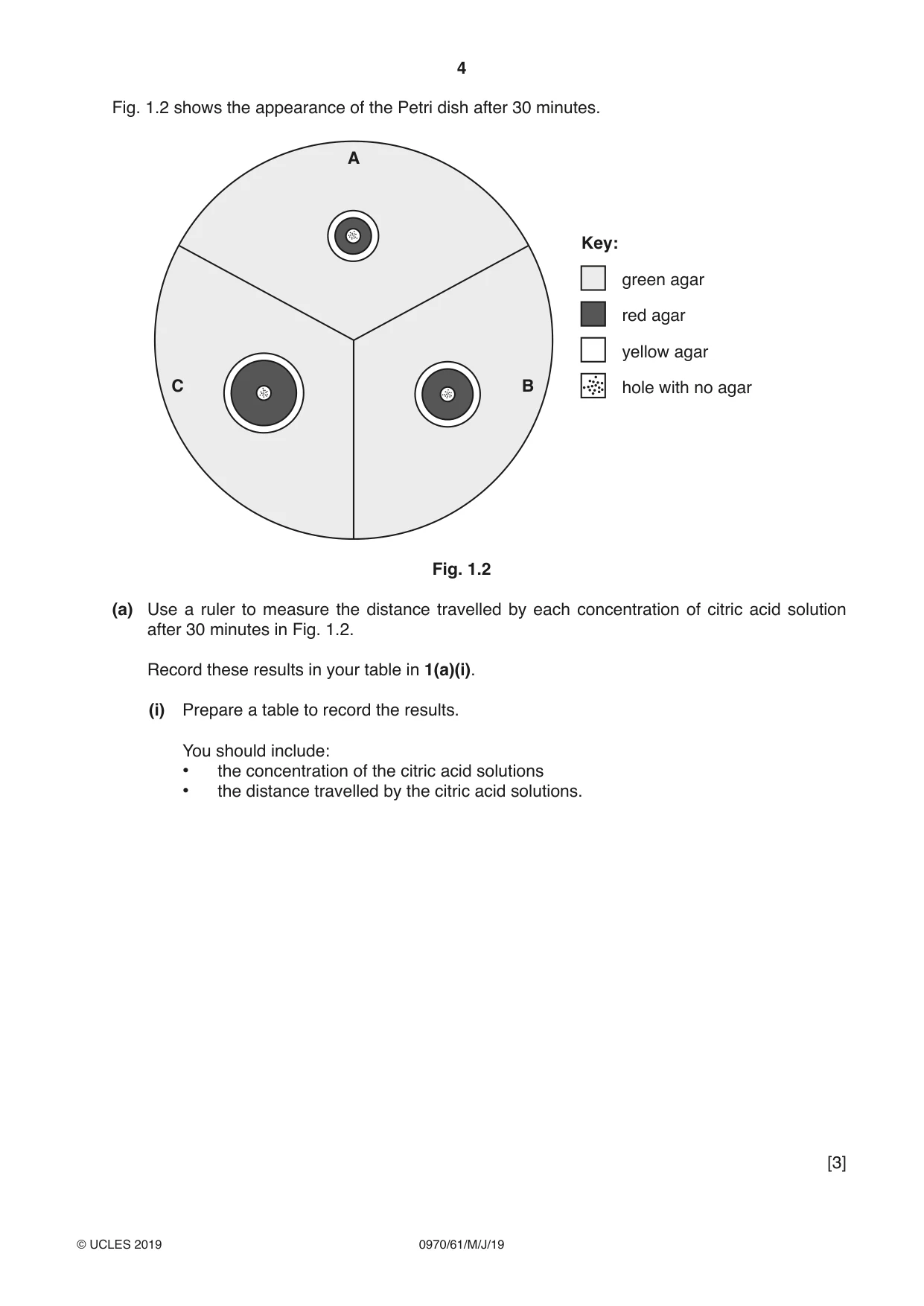 Cambridge IGCSE Biology (9-1) 0970 2019 May/June Paper 6 · Variant 1 question paper, page 4 of 16