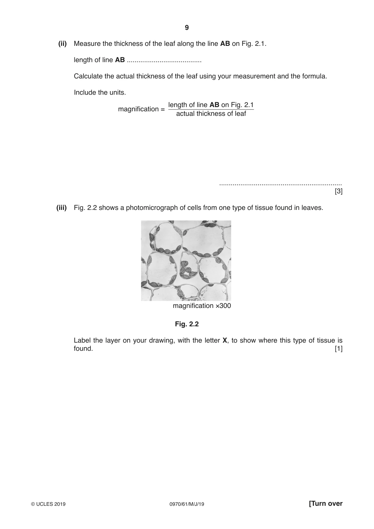 Cambridge IGCSE Biology (9-1) 0970 2019 May/June Paper 6 · Variant 1 question paper, page 9 of 16