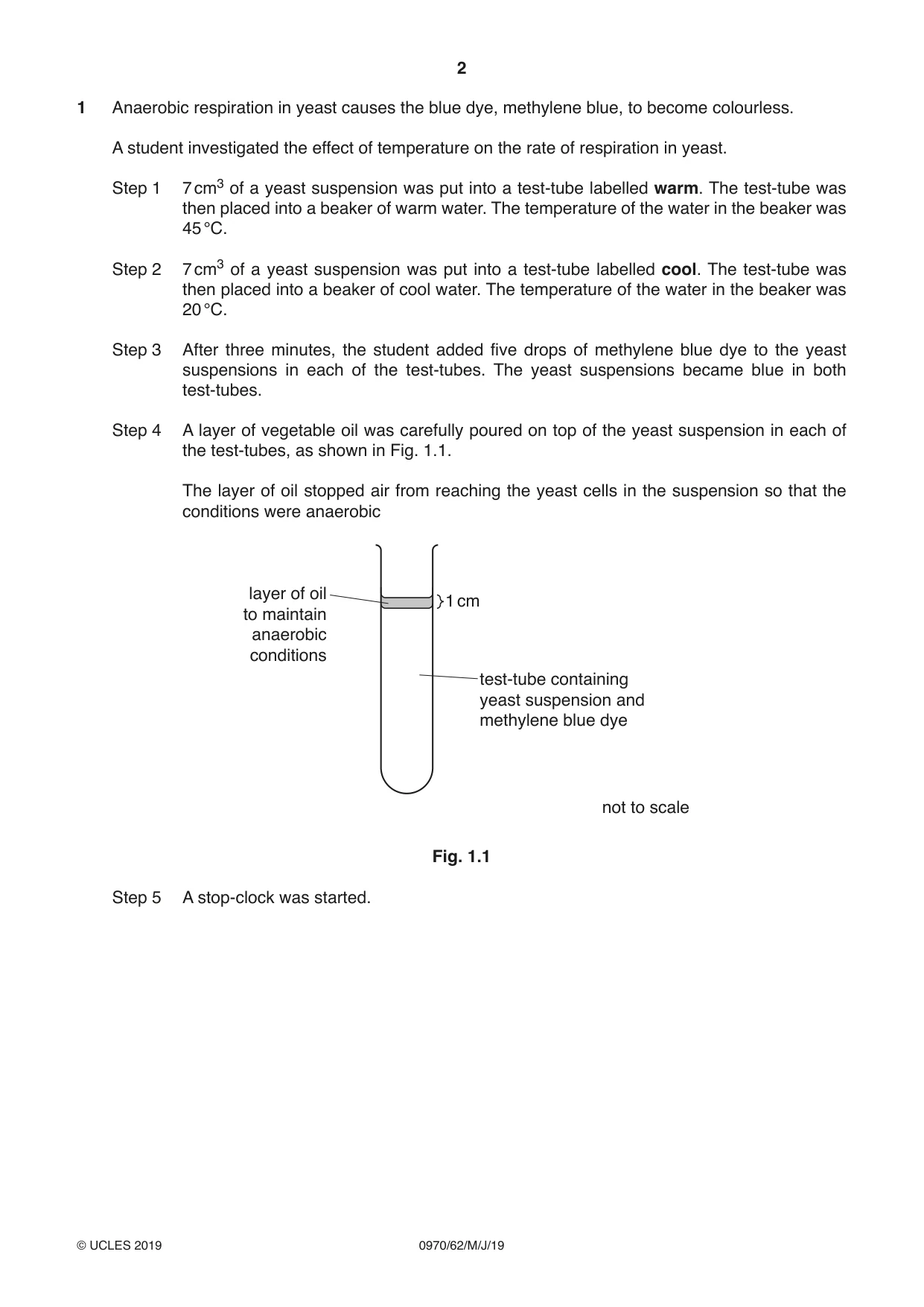 Cambridge IGCSE Biology (9-1) 0970 2019 May/June Paper 6 · Variant 2 question paper, page 2 of 12