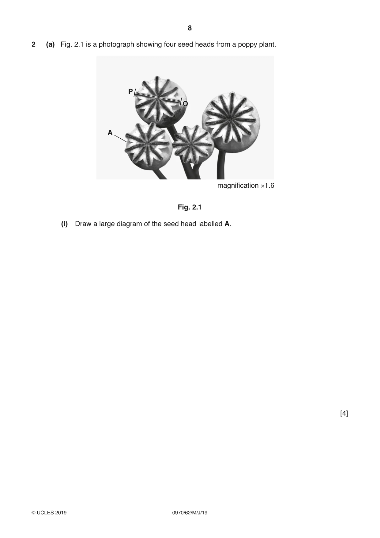 Cambridge IGCSE Biology (9-1) 0970 2019 May/June Paper 6 · Variant 2 question paper, page 8 of 12