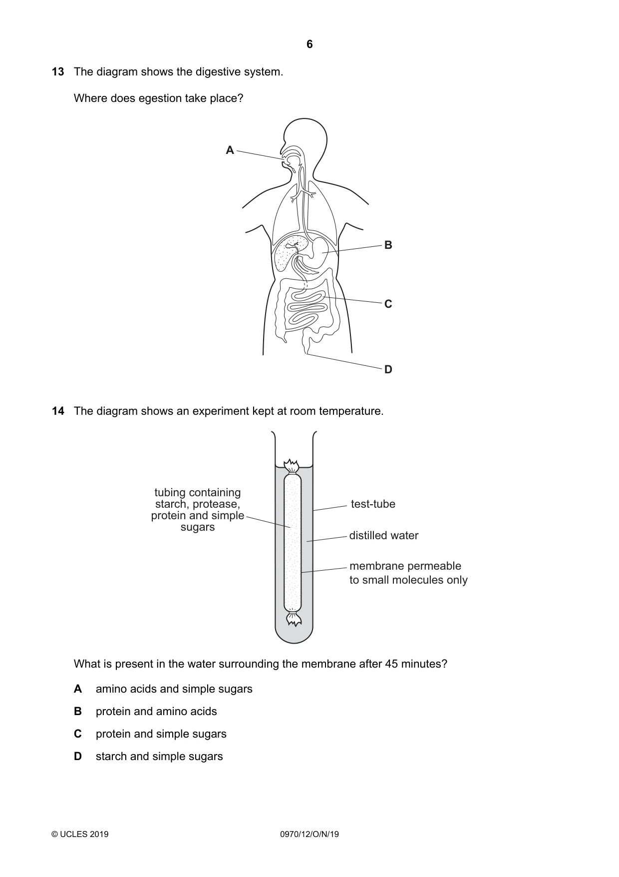 Cambridge IGCSE Biology (9-1) 0970 2019 Oct/Nov Paper 1 · Variant 2 question paper, page 6 of 16