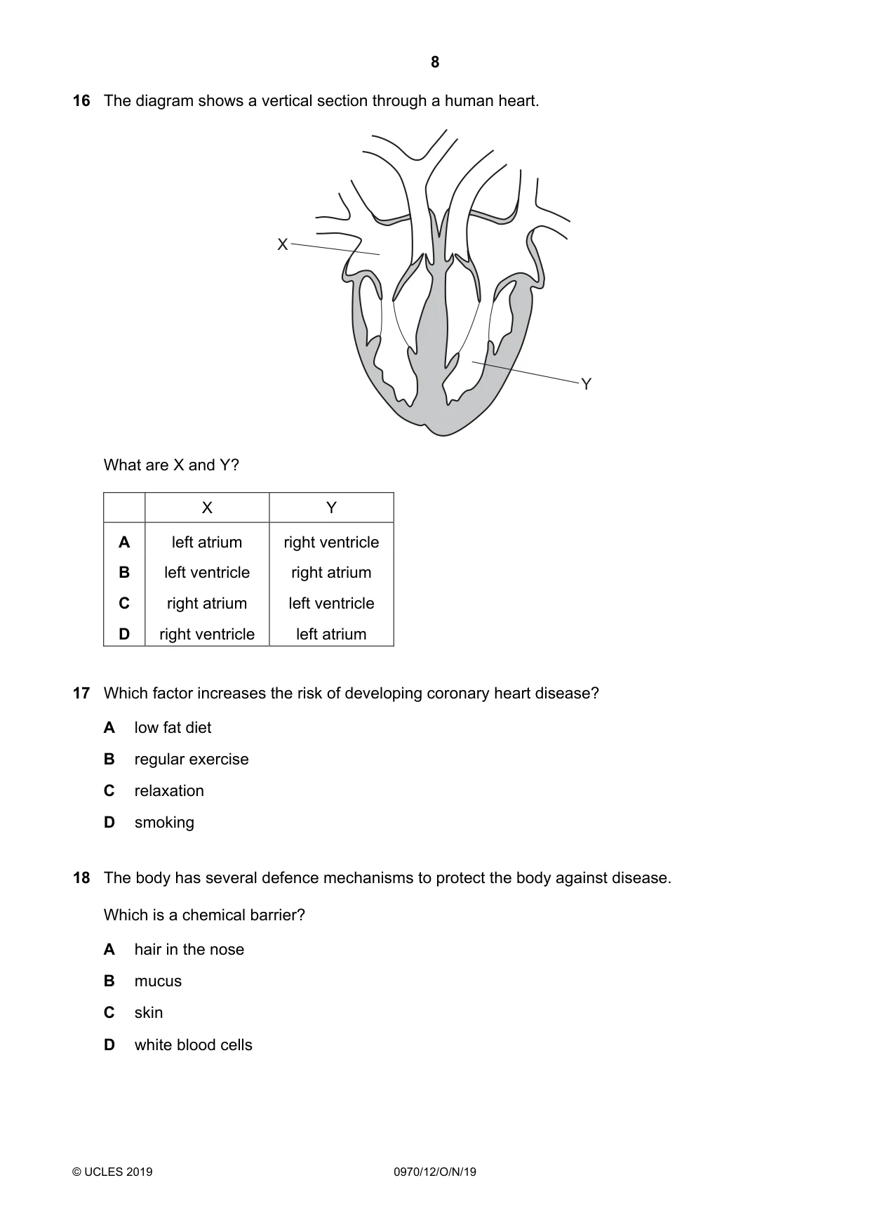 Cambridge IGCSE Biology (9-1) 0970 2019 Oct/Nov Paper 1 · Variant 2 question paper, page 8 of 16