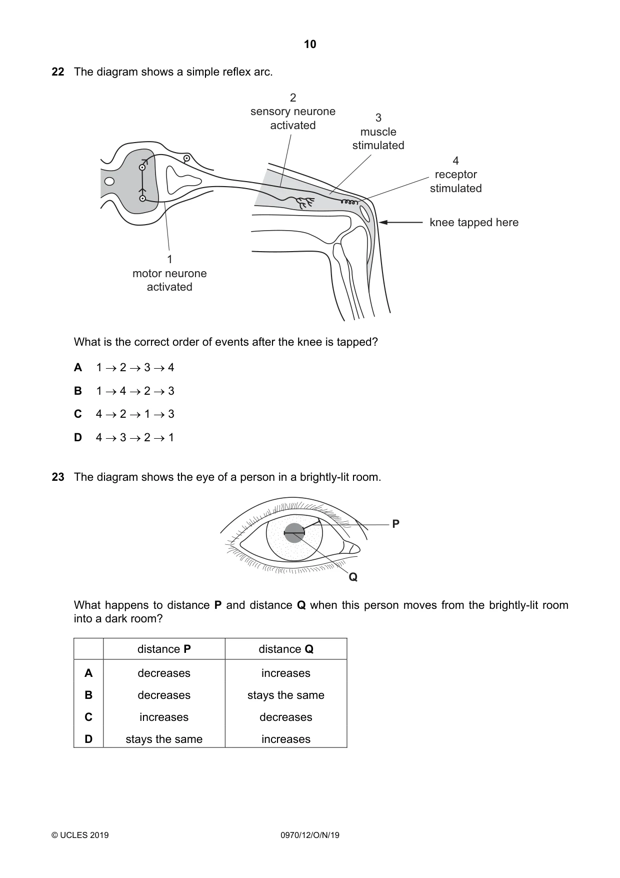 Cambridge IGCSE Biology (9-1) 0970 2019 Oct/Nov Paper 1 · Variant 2 question paper, page 10 of 16