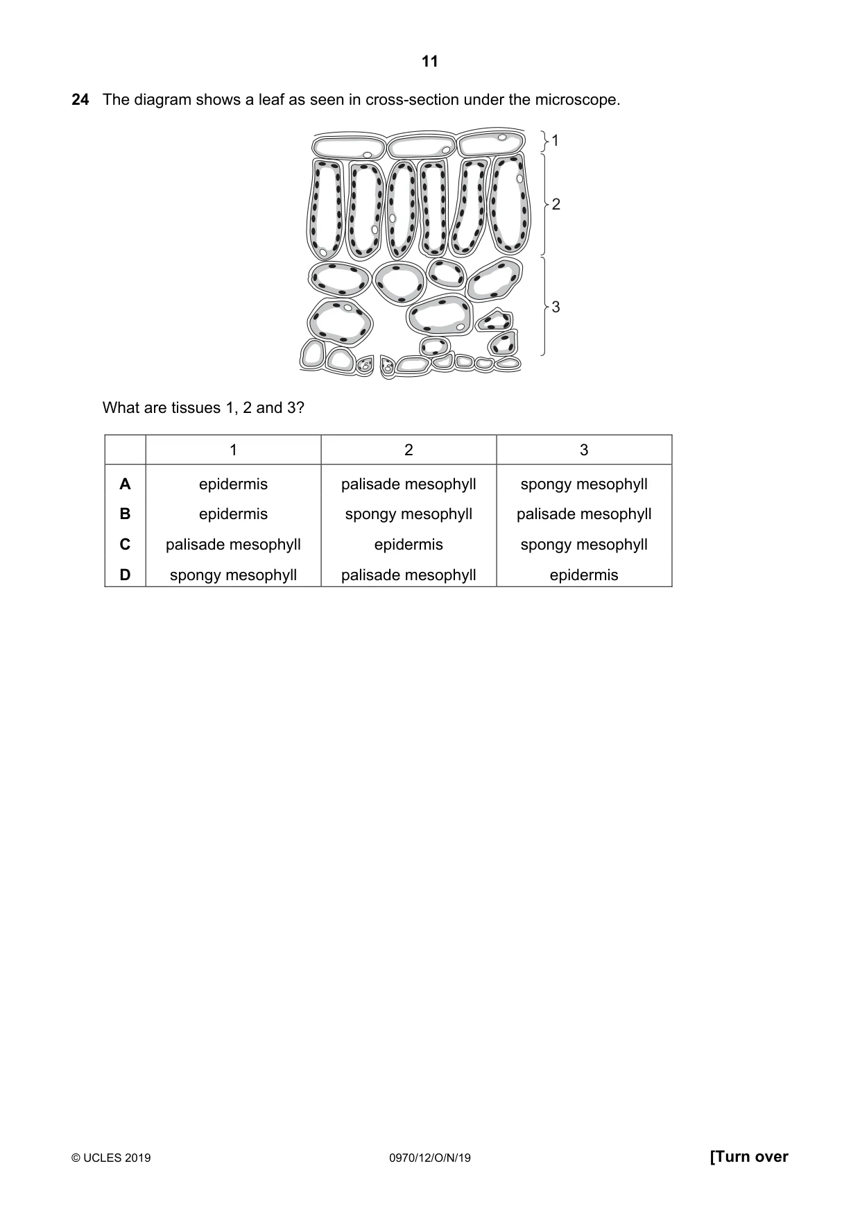 Cambridge IGCSE Biology (9-1) 0970 2019 Oct/Nov Paper 1 · Variant 2 question paper, page 11 of 16