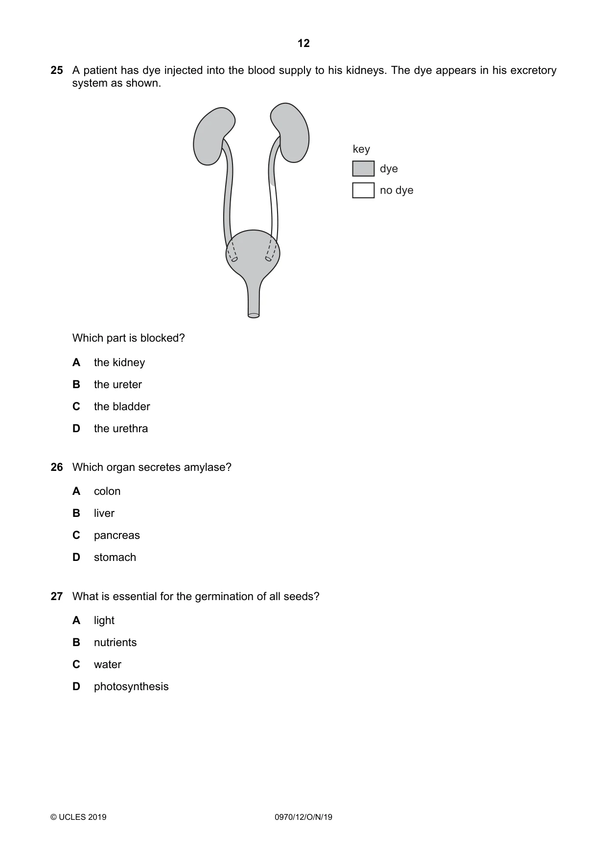 Cambridge IGCSE Biology (9-1) 0970 2019 Oct/Nov Paper 1 · Variant 2 question paper, page 12 of 16