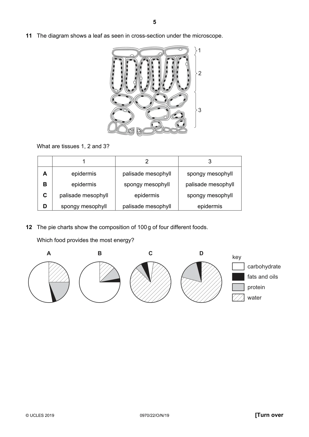 Cambridge IGCSE Biology (9-1) 0970 2019 Oct/Nov Paper 2 · Variant 2 question paper, page 5 of 16