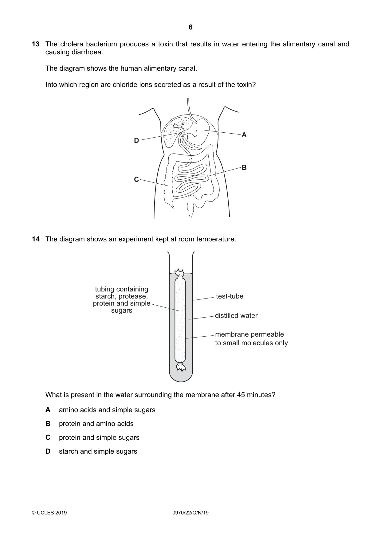 Cambridge IGCSE Biology (9-1) 0970 2019 Oct/Nov Paper 2 · Variant 2 question paper, page 6 of 16
