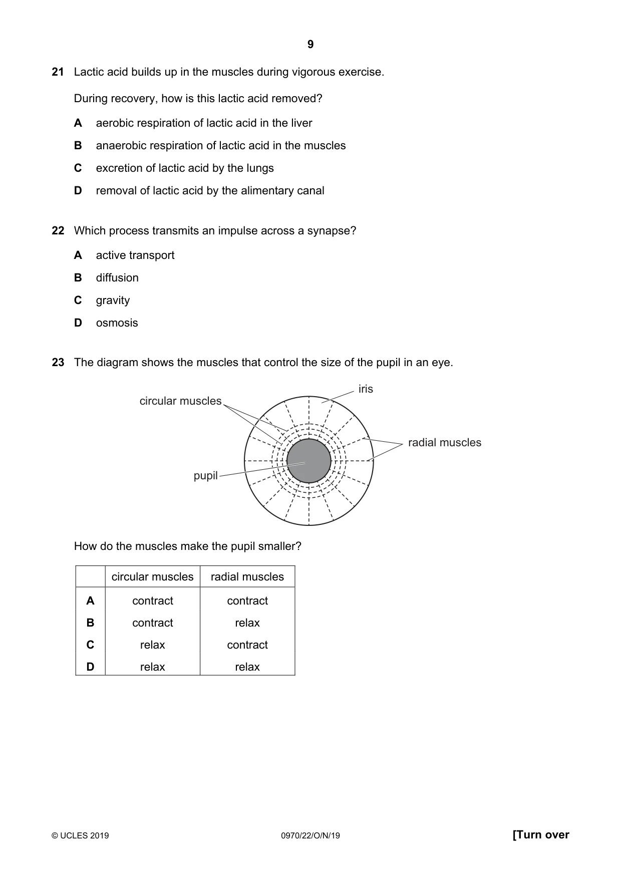 Cambridge IGCSE Biology (9-1) 0970 2019 Oct/Nov Paper 2 · Variant 2 question paper, page 9 of 16