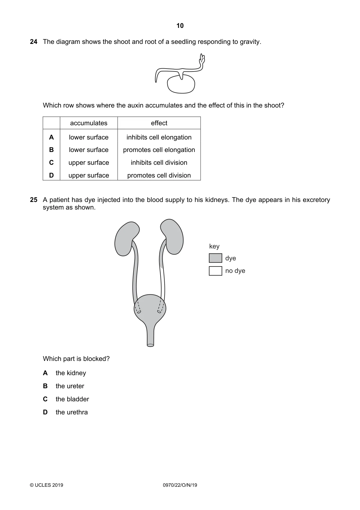 Cambridge IGCSE Biology (9-1) 0970 2019 Oct/Nov Paper 2 · Variant 2 question paper, page 10 of 16