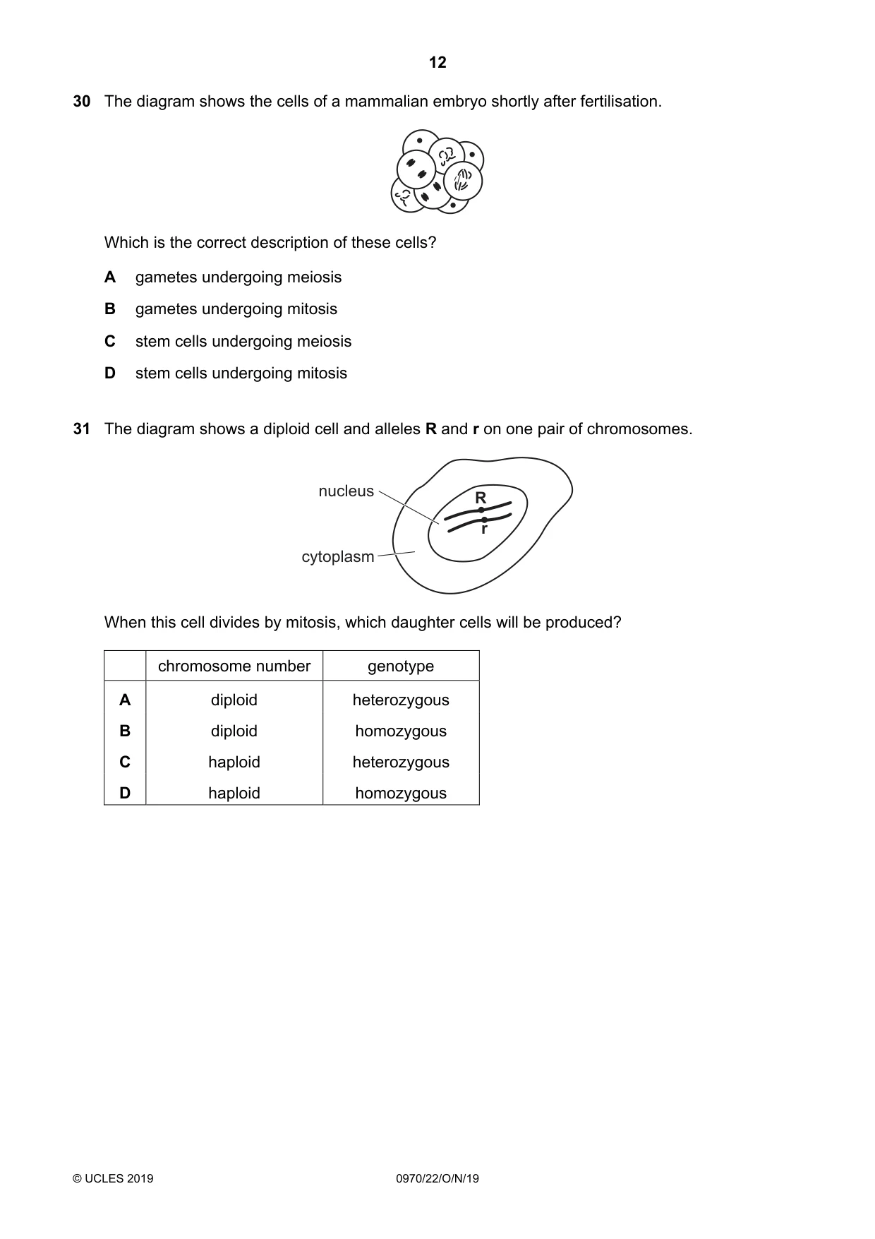 Cambridge IGCSE Biology (9-1) 0970 2019 Oct/Nov Paper 2 · Variant 2 question paper, page 12 of 16