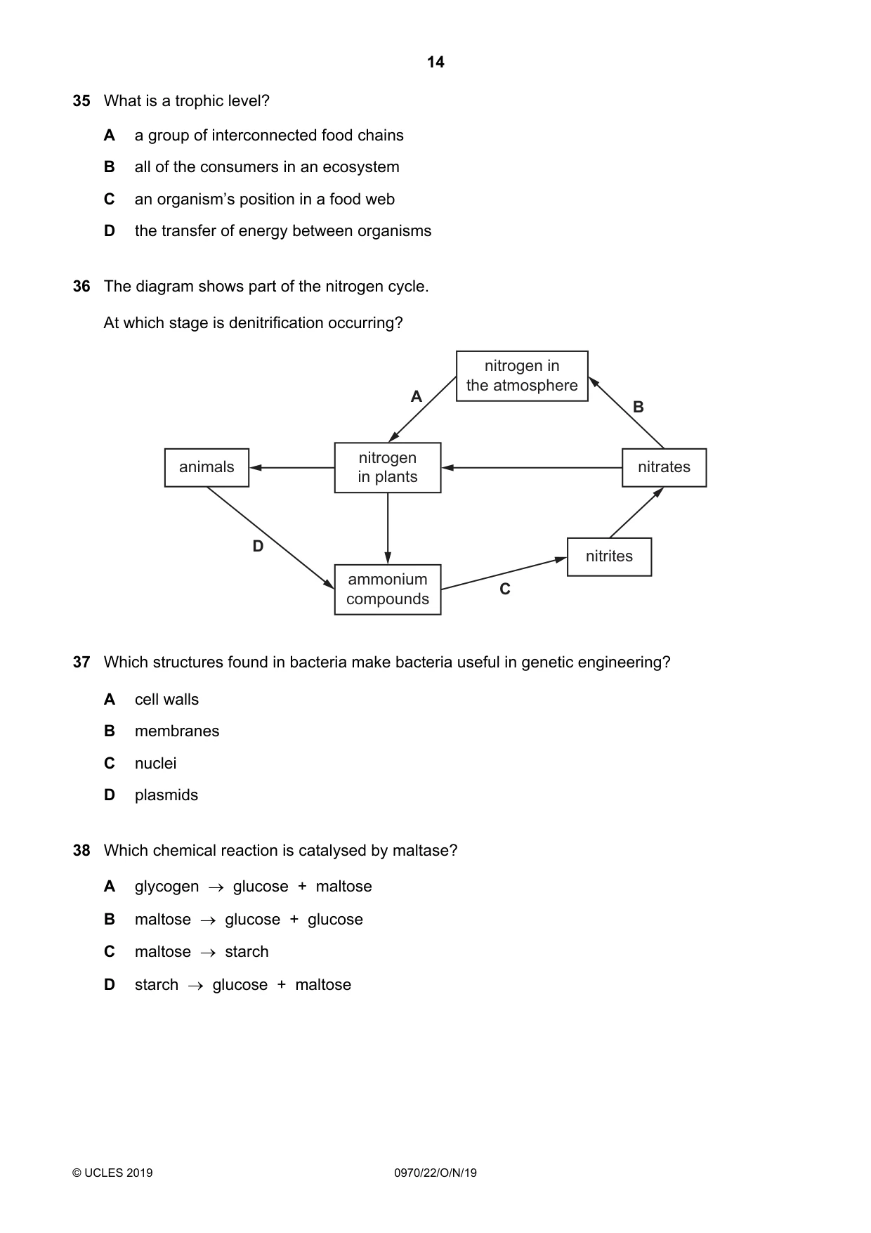 Cambridge IGCSE Biology (9-1) 0970 2019 Oct/Nov Paper 2 · Variant 2 question paper, page 14 of 16