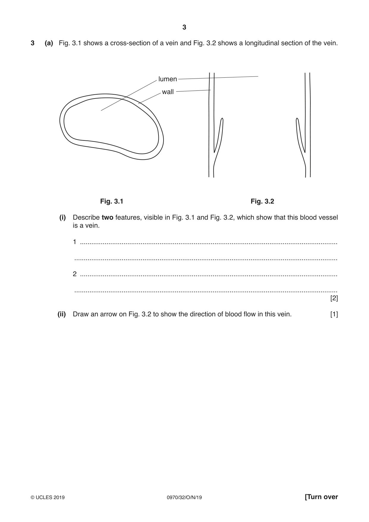 Cambridge IGCSE Biology (9-1) 0970 2019 Oct/Nov Paper 3 · Variant 2 question paper, page 3 of 20