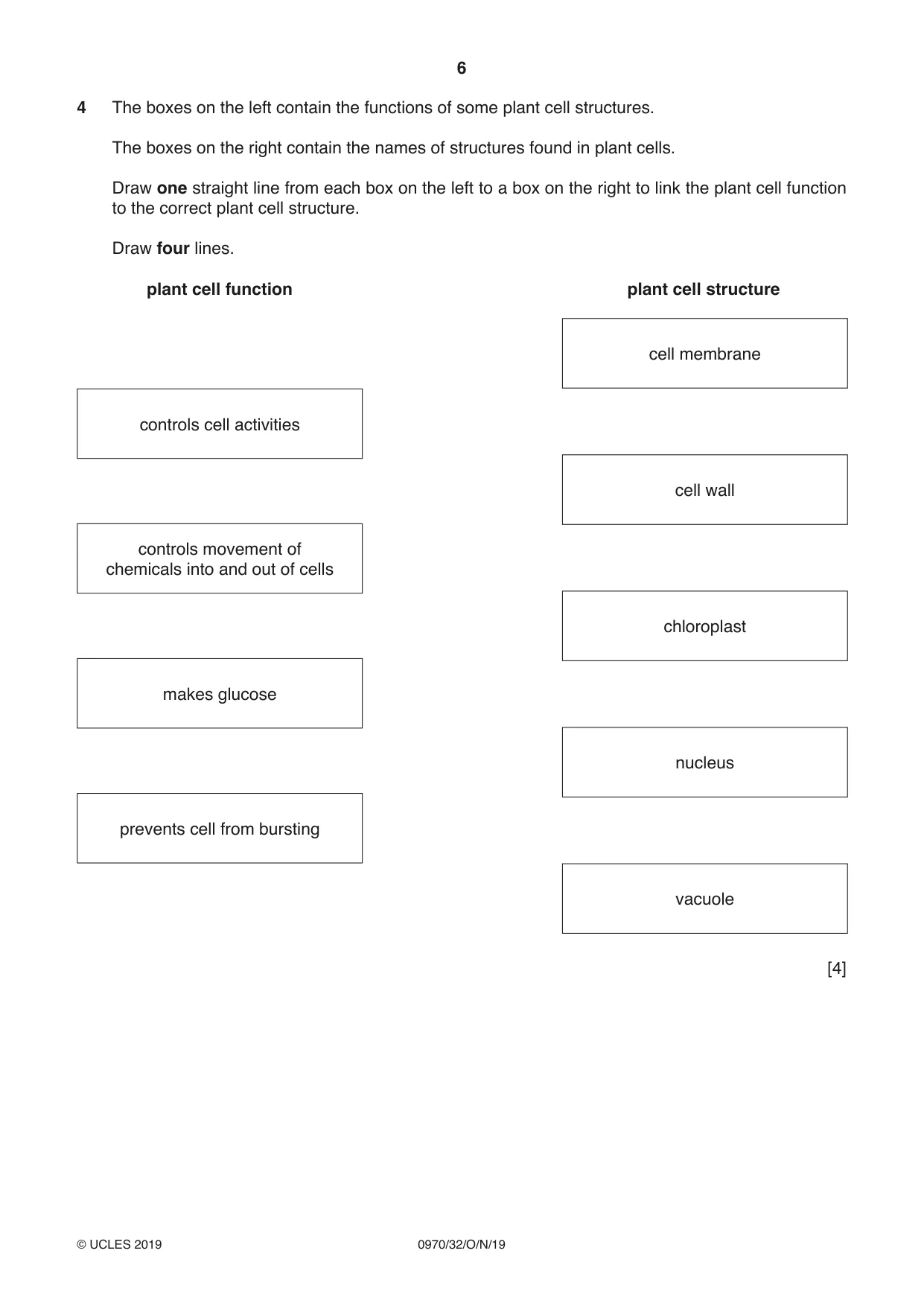 Cambridge IGCSE Biology (9-1) 0970 2019 Oct/Nov Paper 3 · Variant 2 question paper, page 6 of 20
