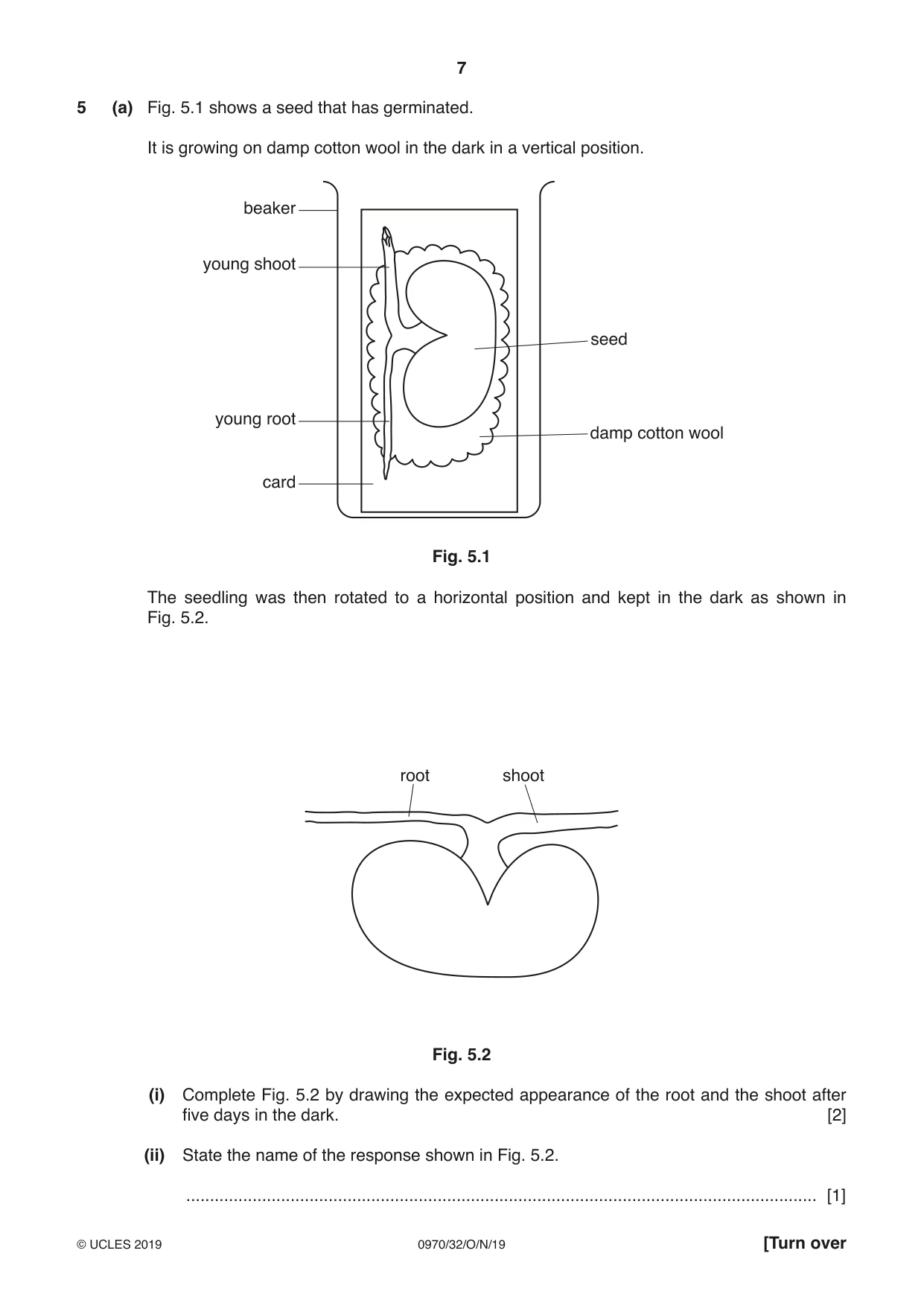 Cambridge IGCSE Biology (9-1) 0970 2019 Oct/Nov Paper 3 · Variant 2 question paper, page 7 of 20