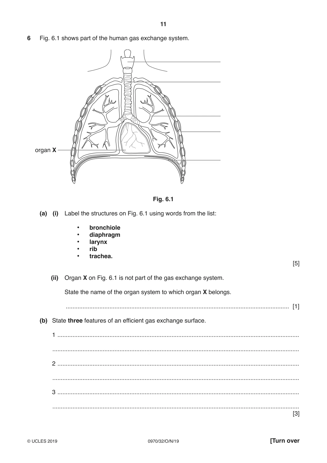 Cambridge IGCSE Biology (9-1) 0970 2019 Oct/Nov Paper 3 · Variant 2 question paper, page 11 of 20
