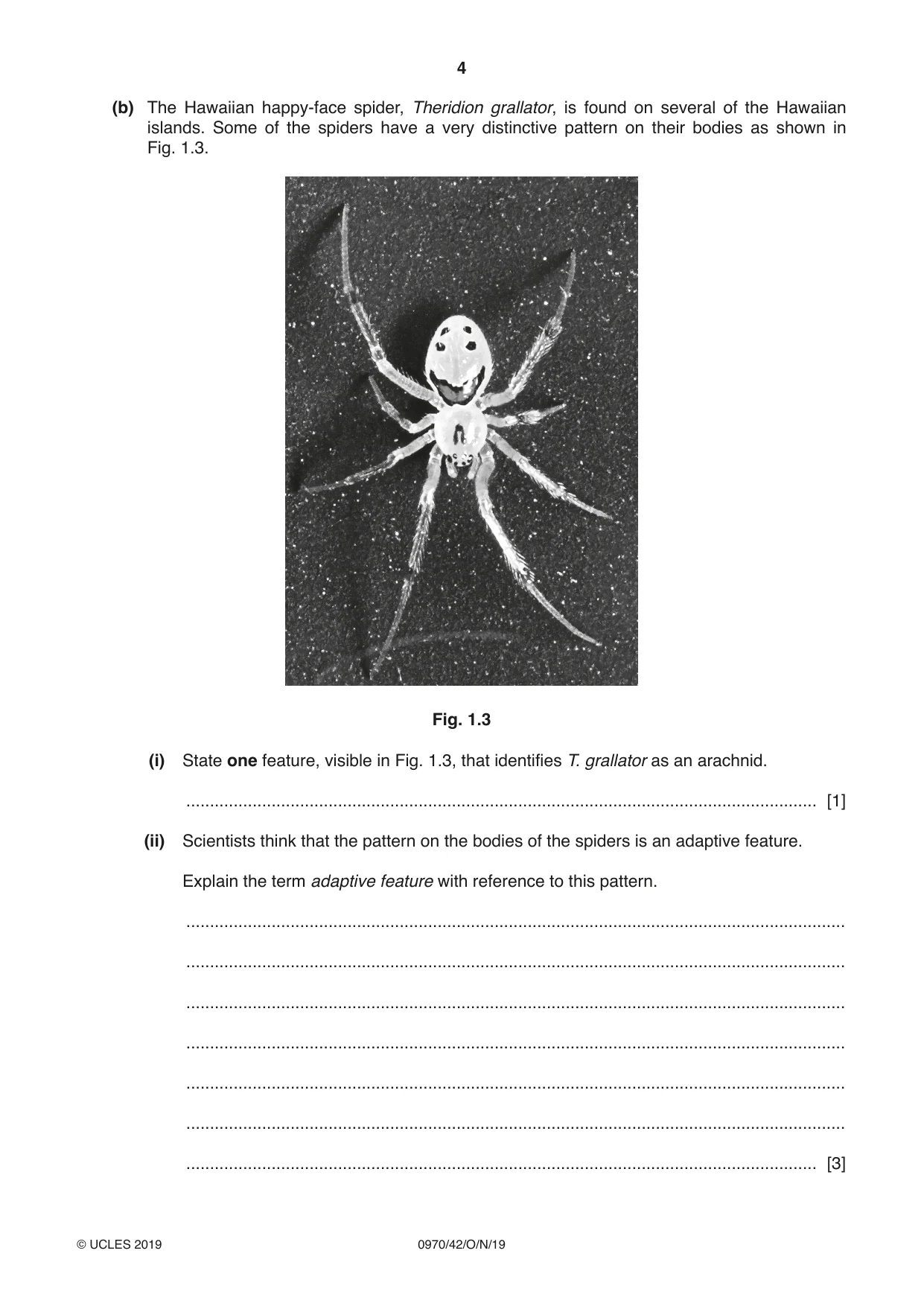 Cambridge IGCSE Biology (9-1) 0970 2019 Oct/Nov Paper 4 · Variant 2 question paper, page 4 of 24