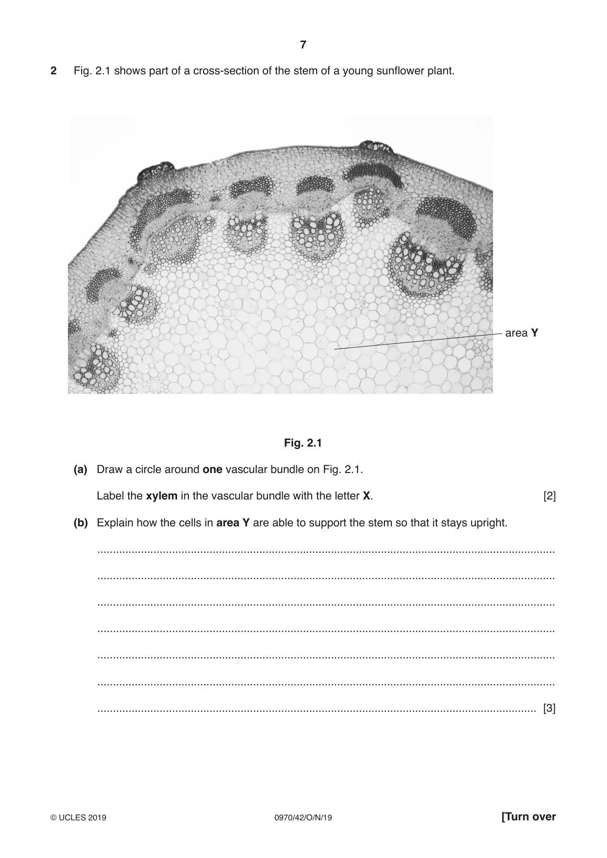 Cambridge IGCSE Biology (9-1) 0970 2019 Oct/Nov Paper 4 · Variant 2 question paper, page 7 of 24